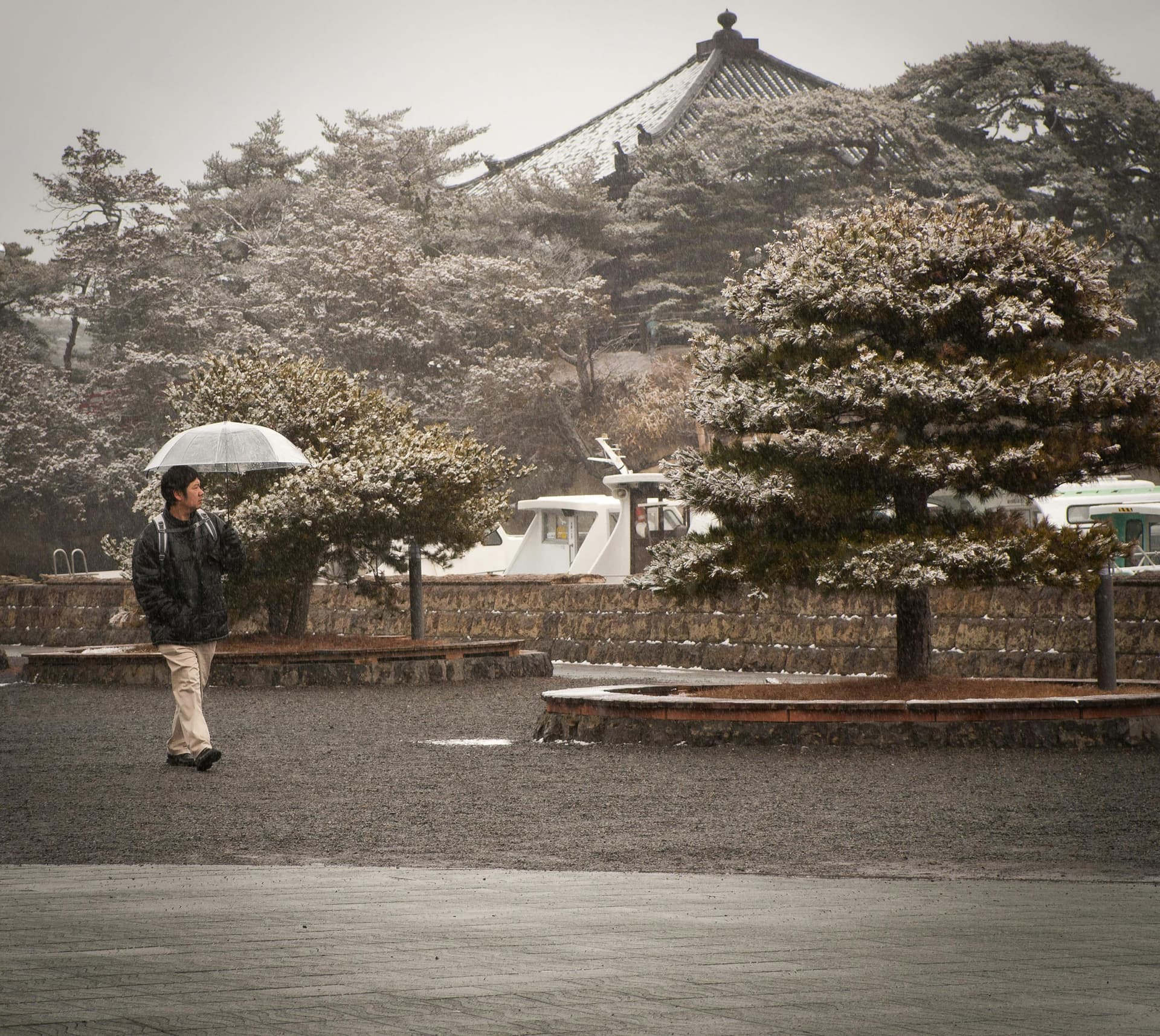 Private Tour vs Exploring Tokyo Alone: The Math You Haven't Done