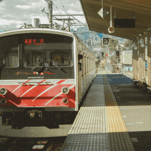 Japan Rail Pass Guide: Save on Train Travel