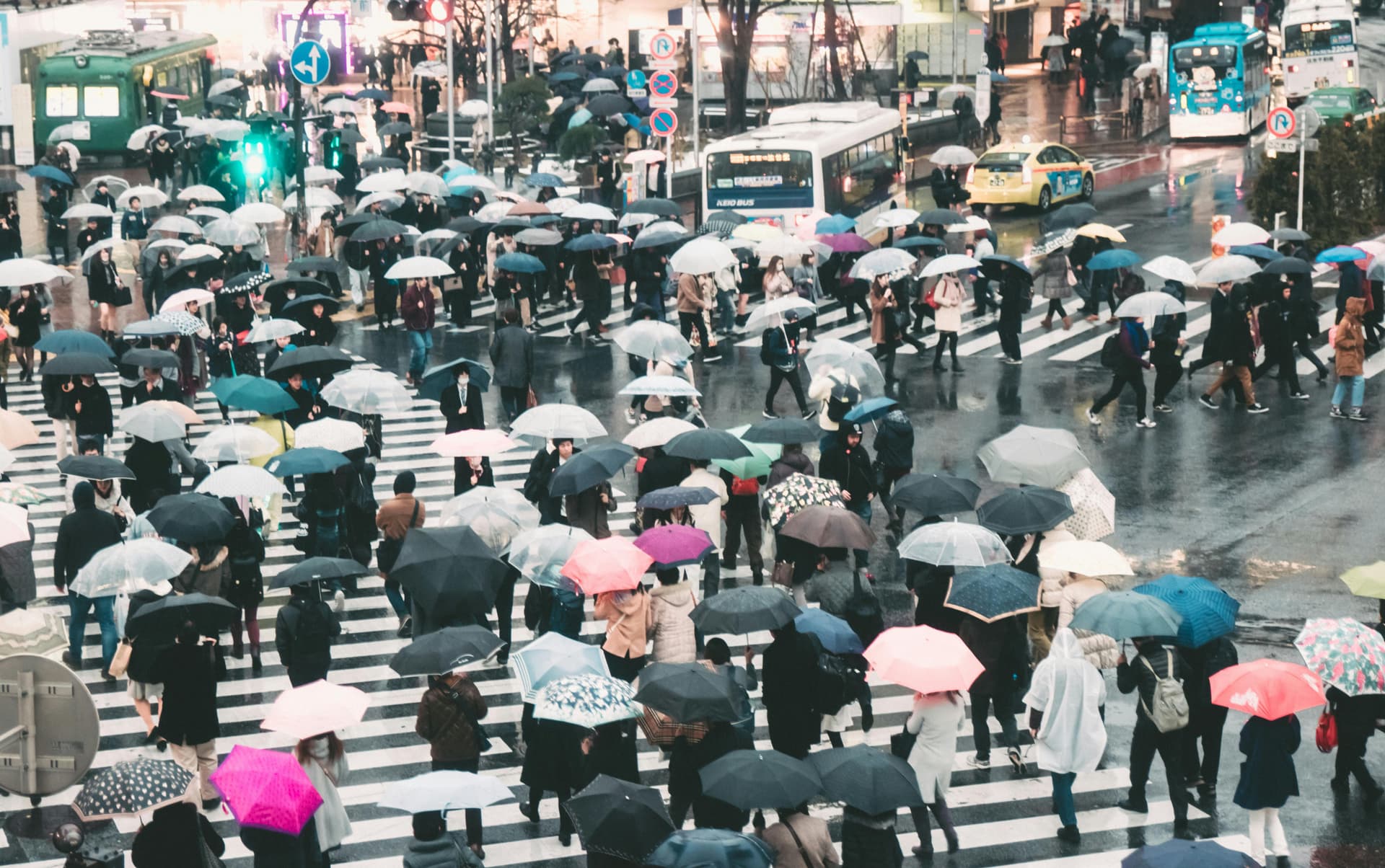 Tokyo Tourist Mistakes: The Cascade a Local Guide Prevents