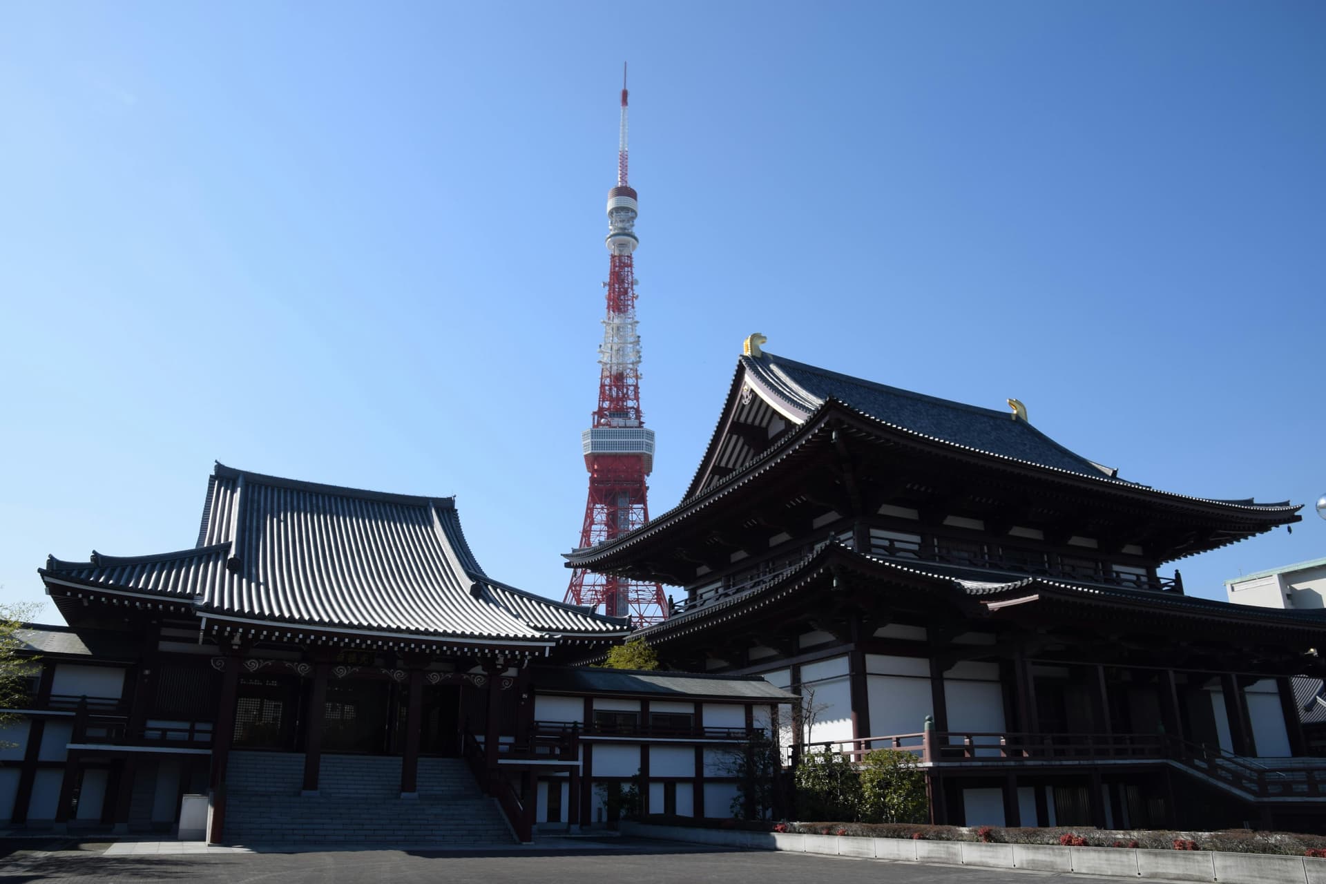 Best Tokyo Private Tours: 3 Easy, Iconic Ways to See Tokyo Without Stress