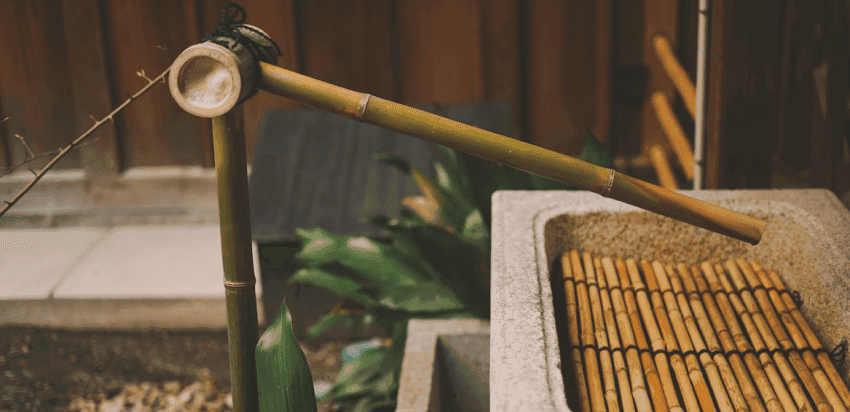 Travel Japan on a Budget: Tips & Affordable Options