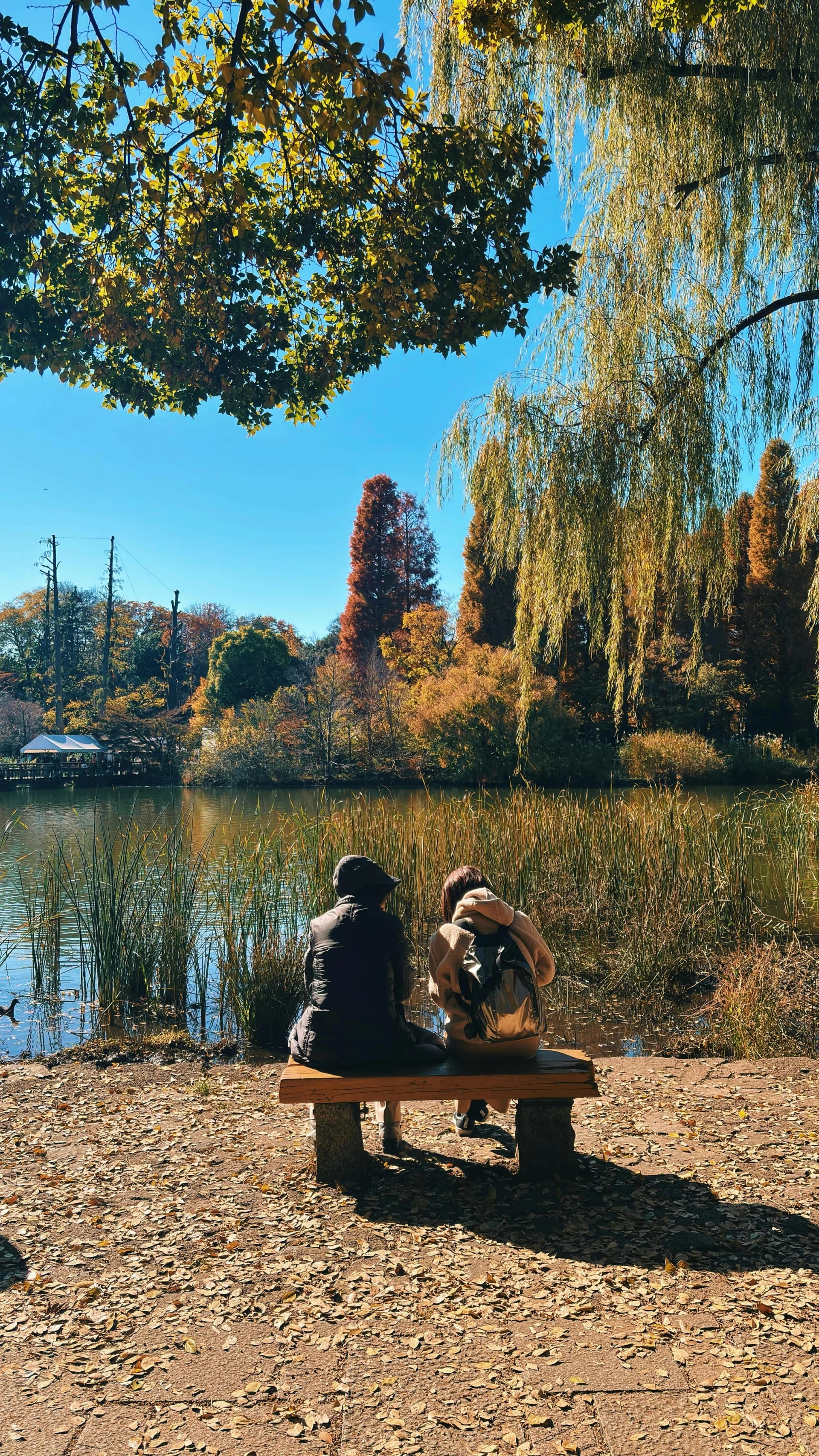 Tokyo's Most Livable Neighborhoods: Kichijoji, Shimokitazawa, Yanaka
