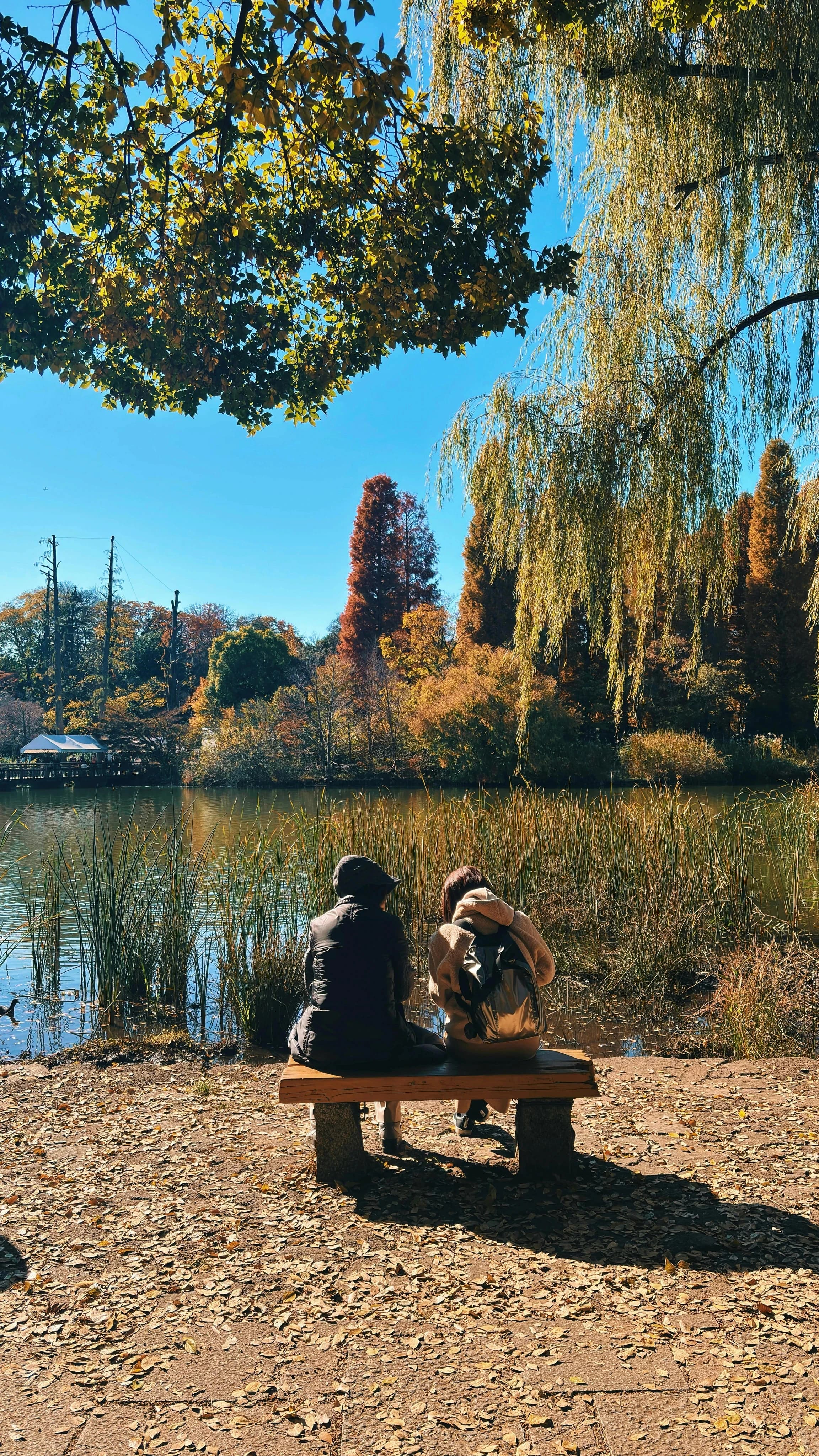 Tokyo's Most Livable Neighborhoods: Kichijoji, Shimokitazawa, Yanaka