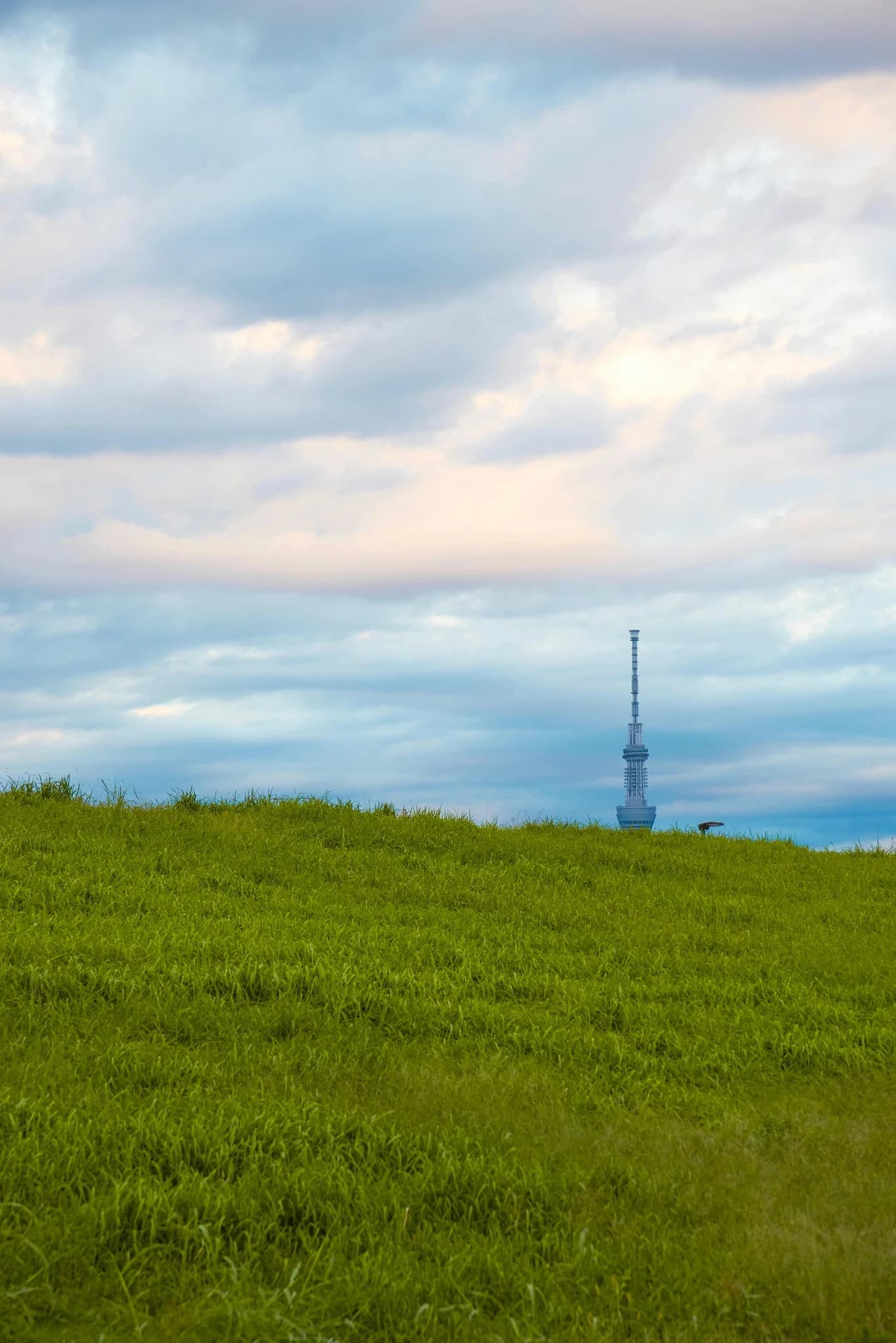 Tokyo Skytree Guide: What a Guide Actually Adds (And When to DIY)