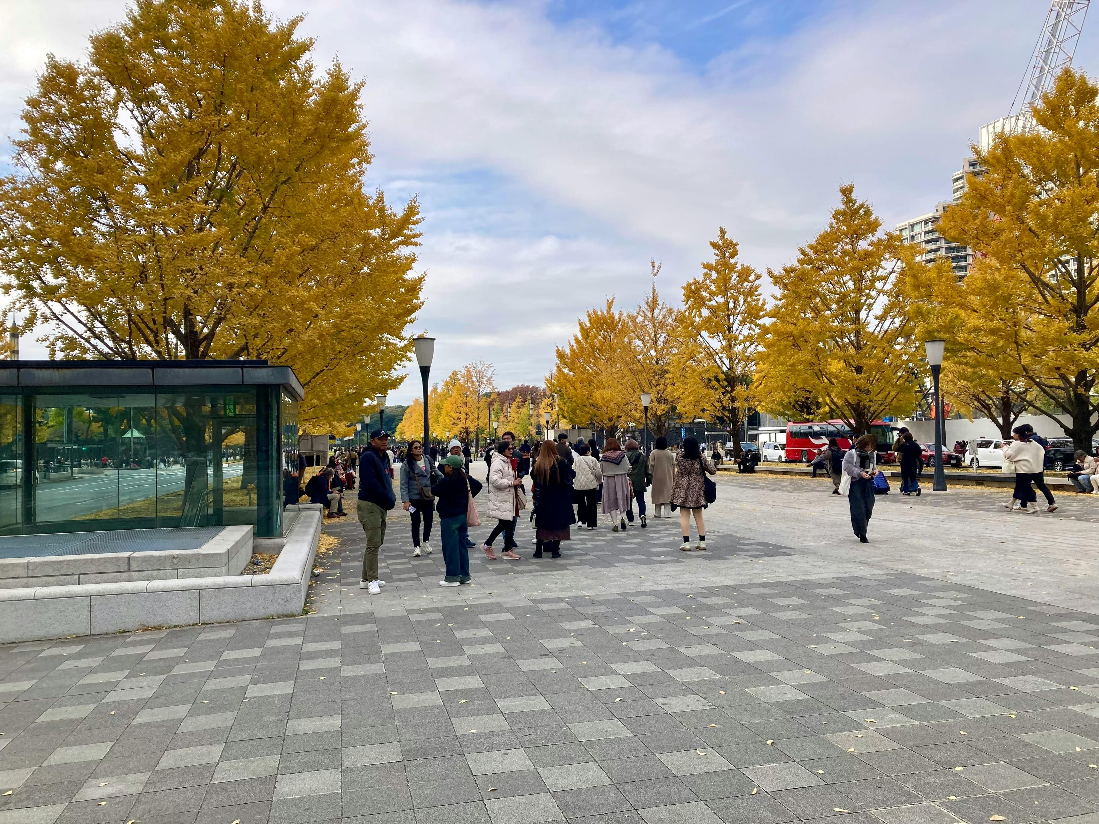 Best Time to Visit Tokyo With a Private Guide