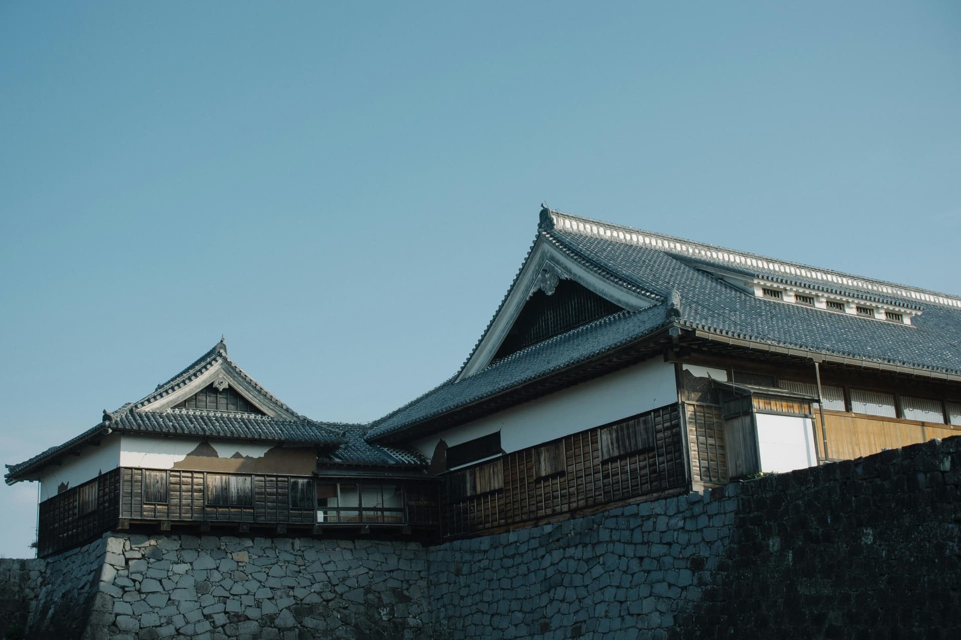 Tokyo Private Tour Options: Complete Guide
