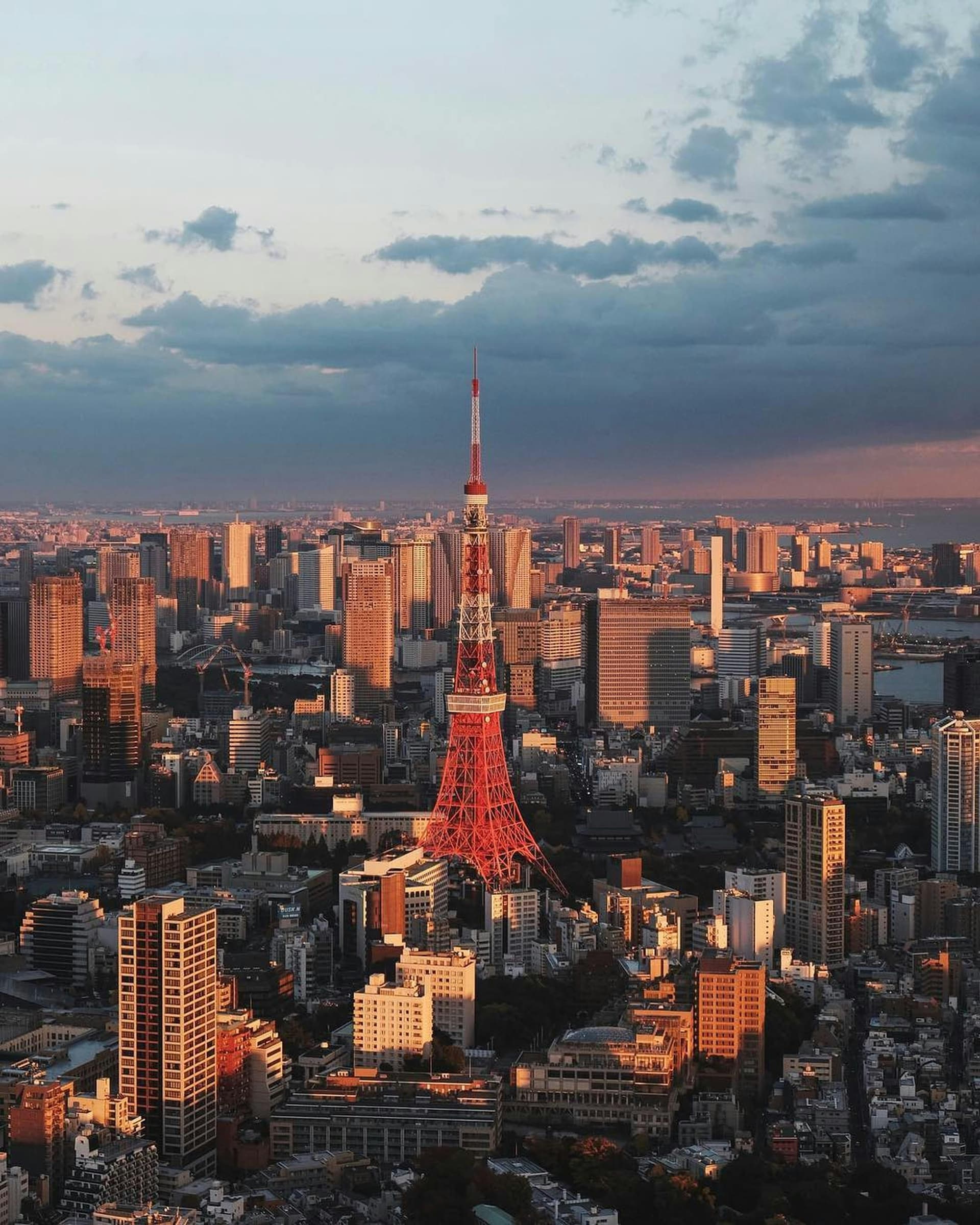 Booking Multiple Tokyo Tours: Why Not All at Once