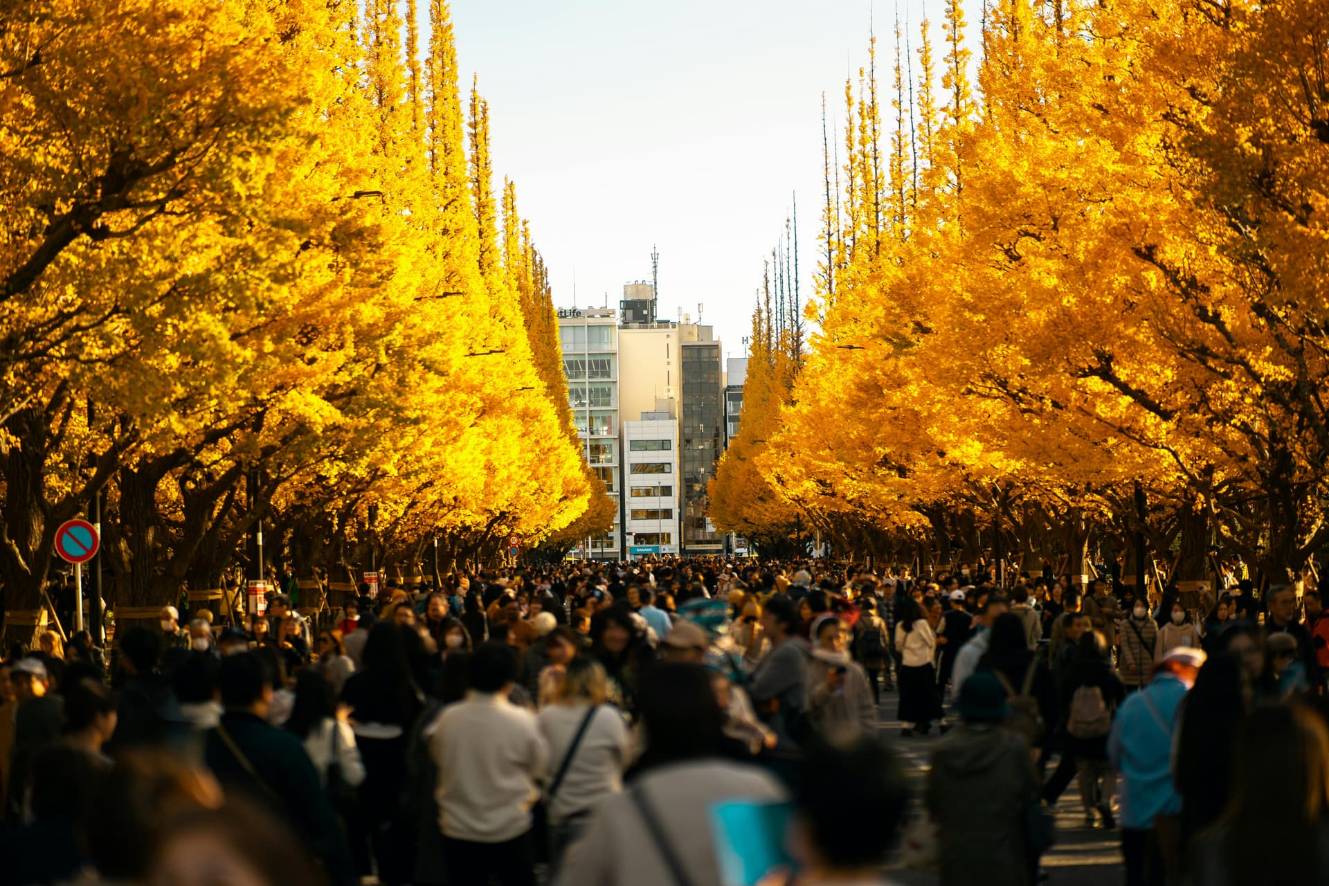 Best Time to Visit Tokyo — Seasonal Travel Guide