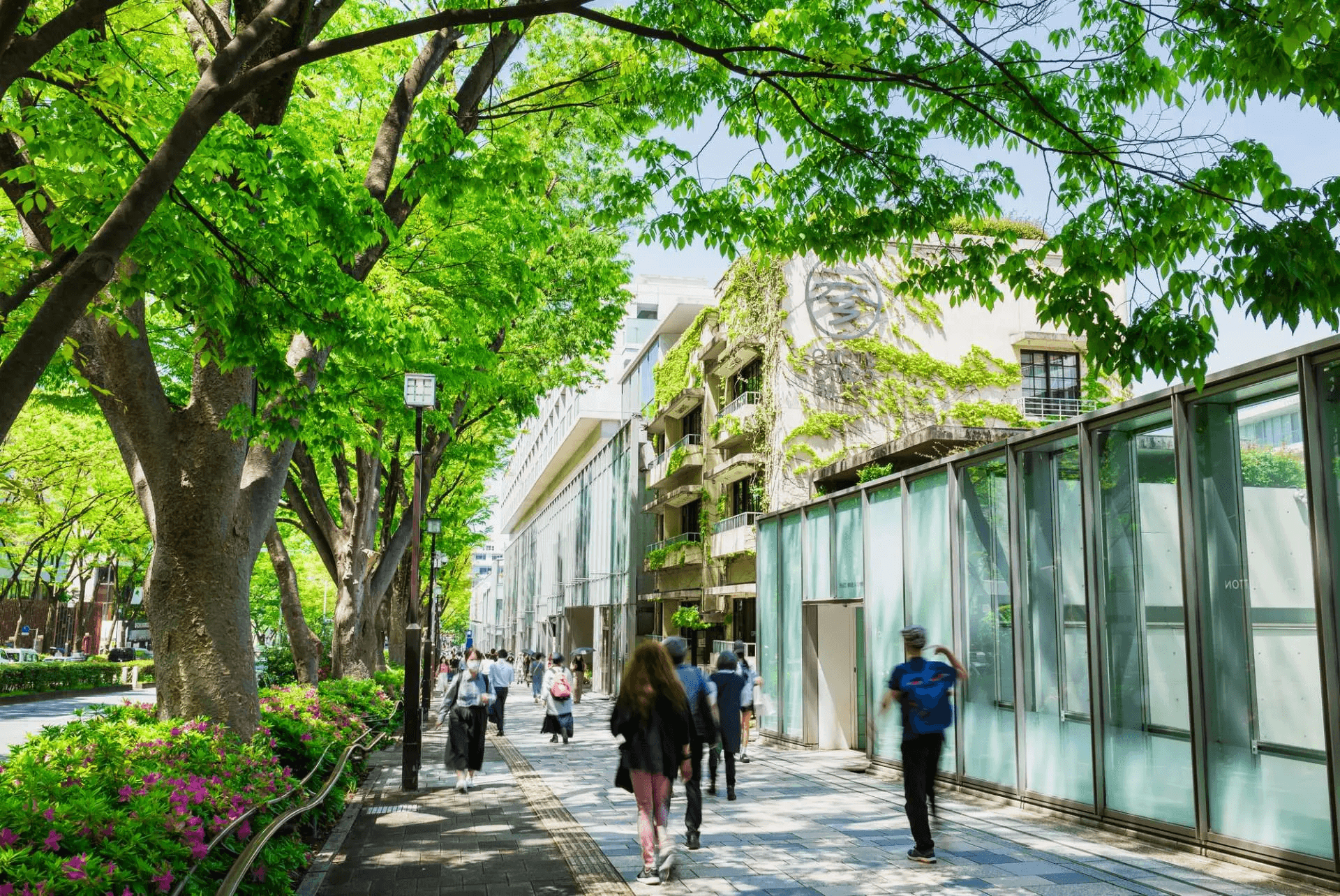 Tokyo Shopping Guide: Where to Find What You're Looking For