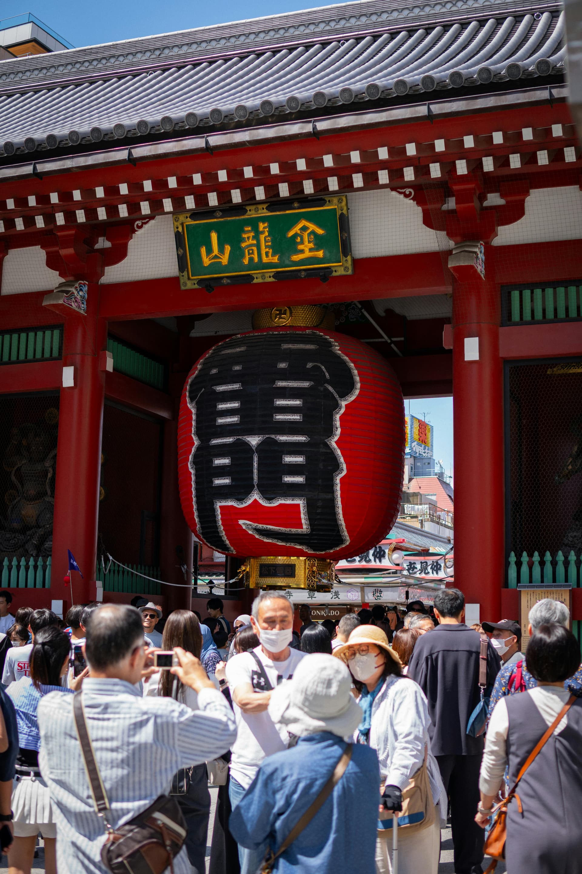 Private Tour vs Free Walking Tour in Tokyo