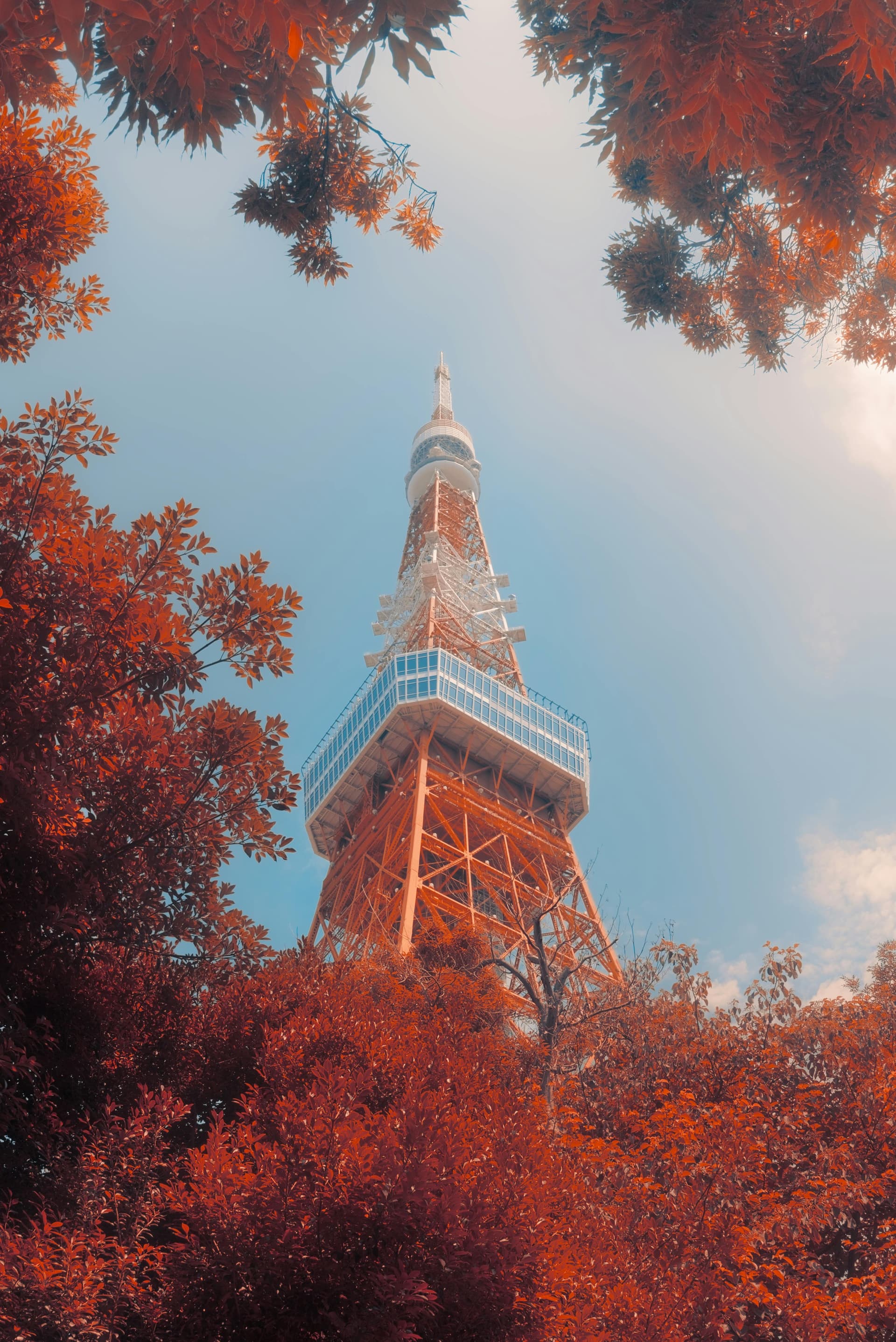Tokyo in Fall: When Foliage Isn't the Point