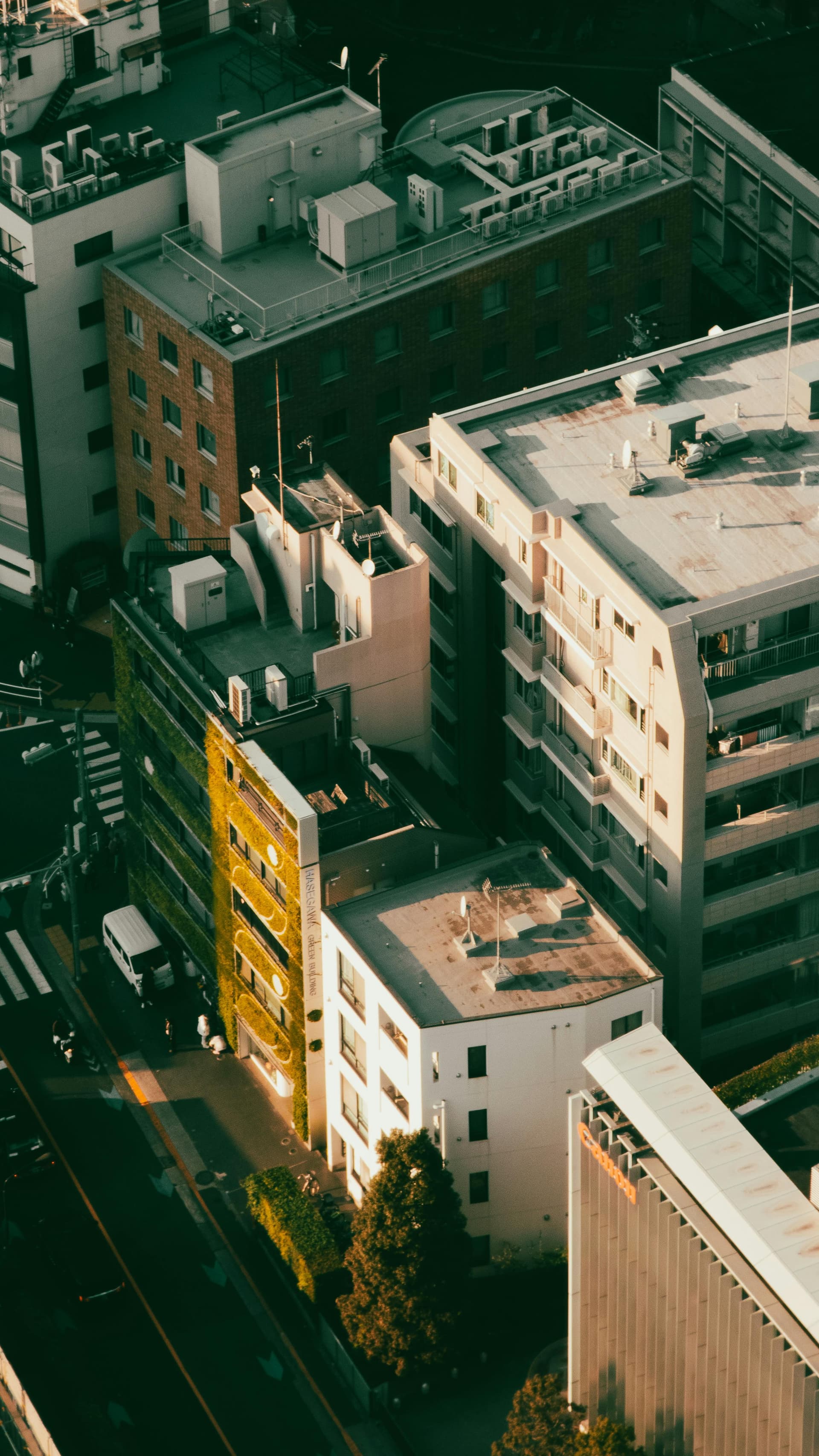 Where to Stay in Tokyo on a Budget