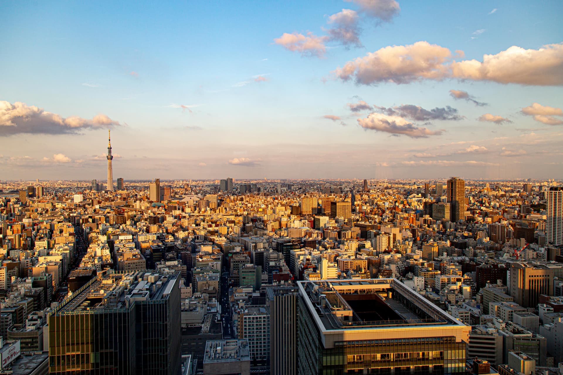Best Time of Day for Tokyo Tours: A Body Clock Approach