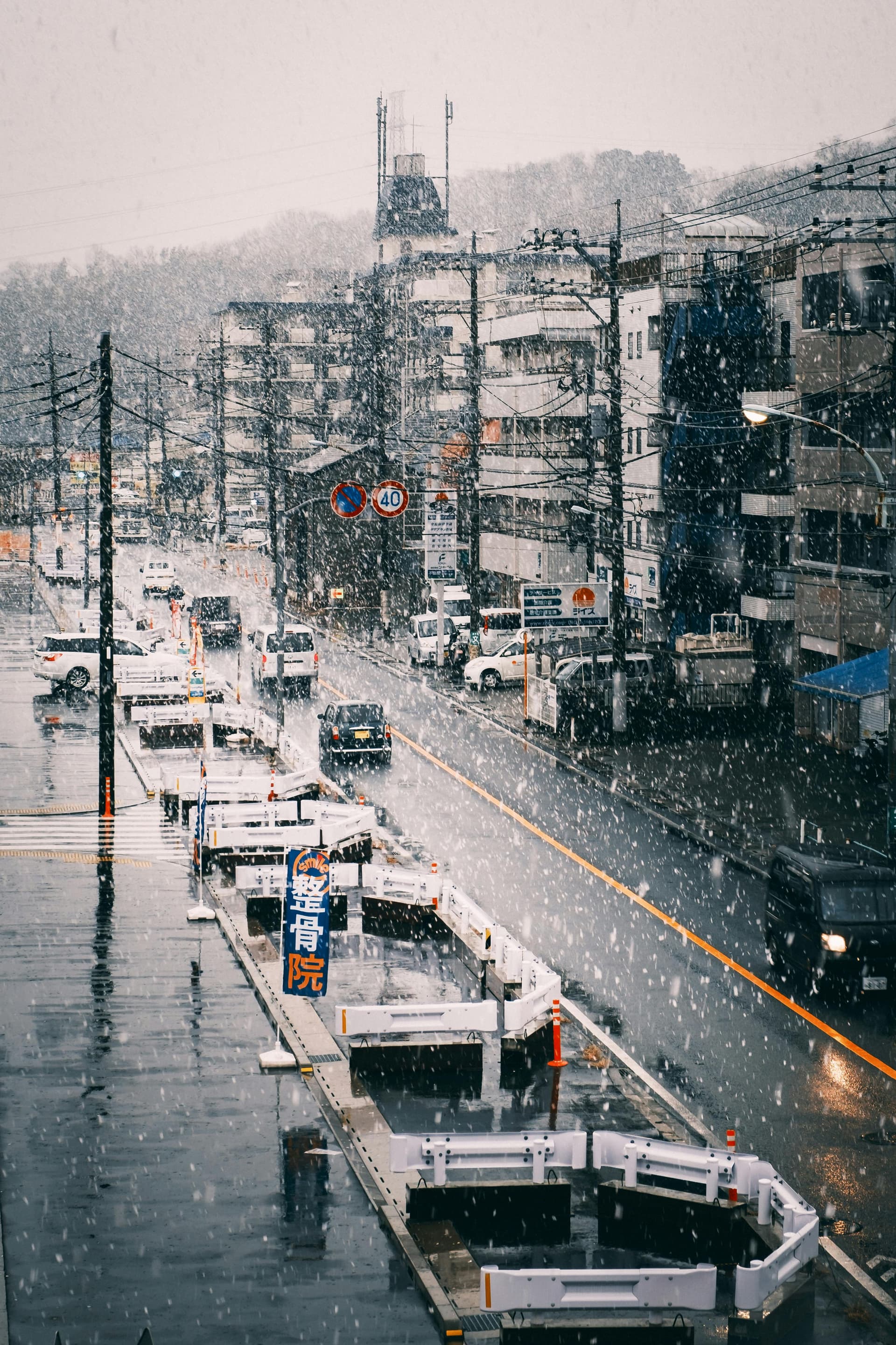 Off-Season Tokyo: Quieter Months and the Neighborhoods That Suit Them