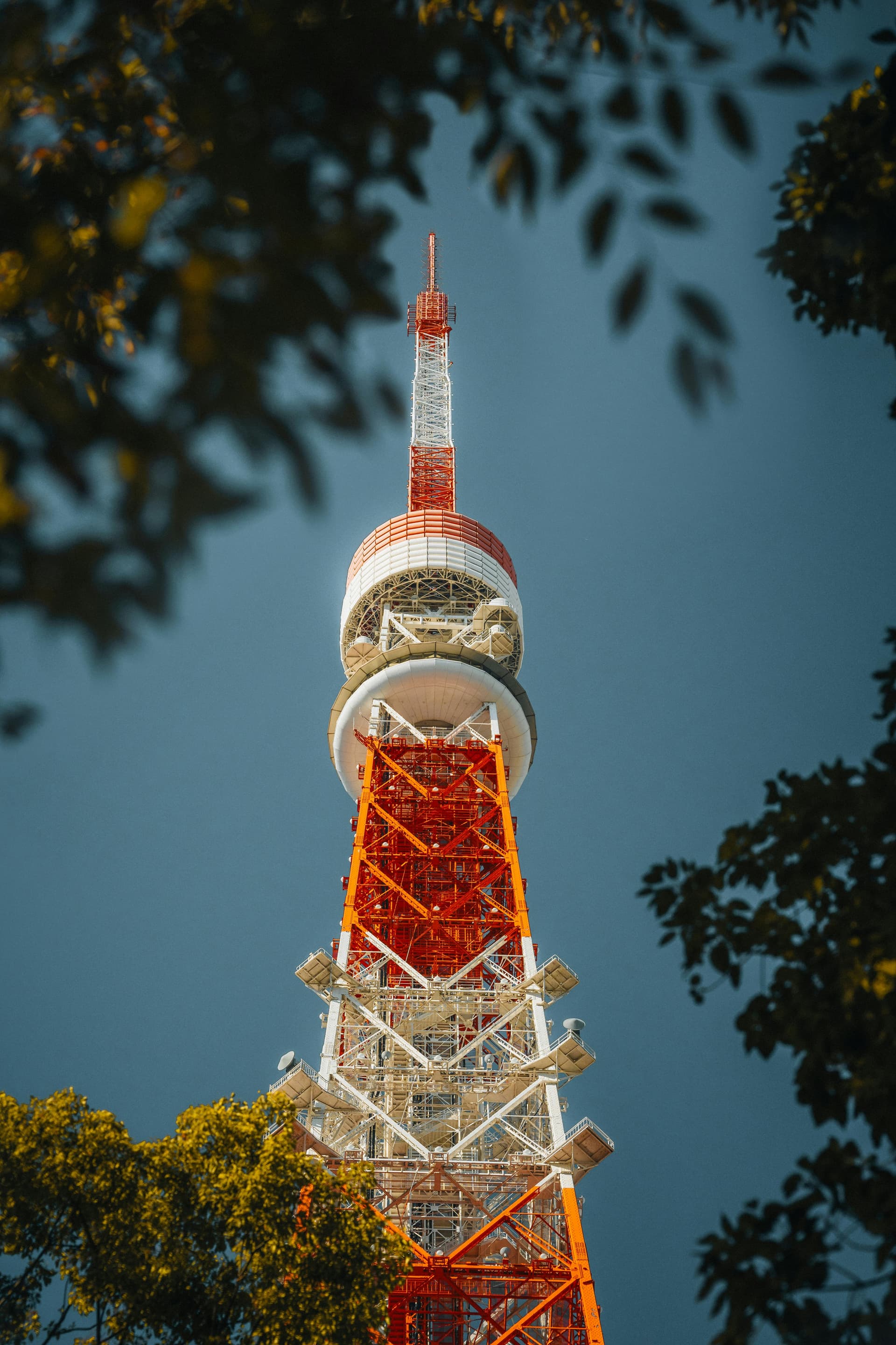 How to Book a Tokyo Private Tour — Step by Step