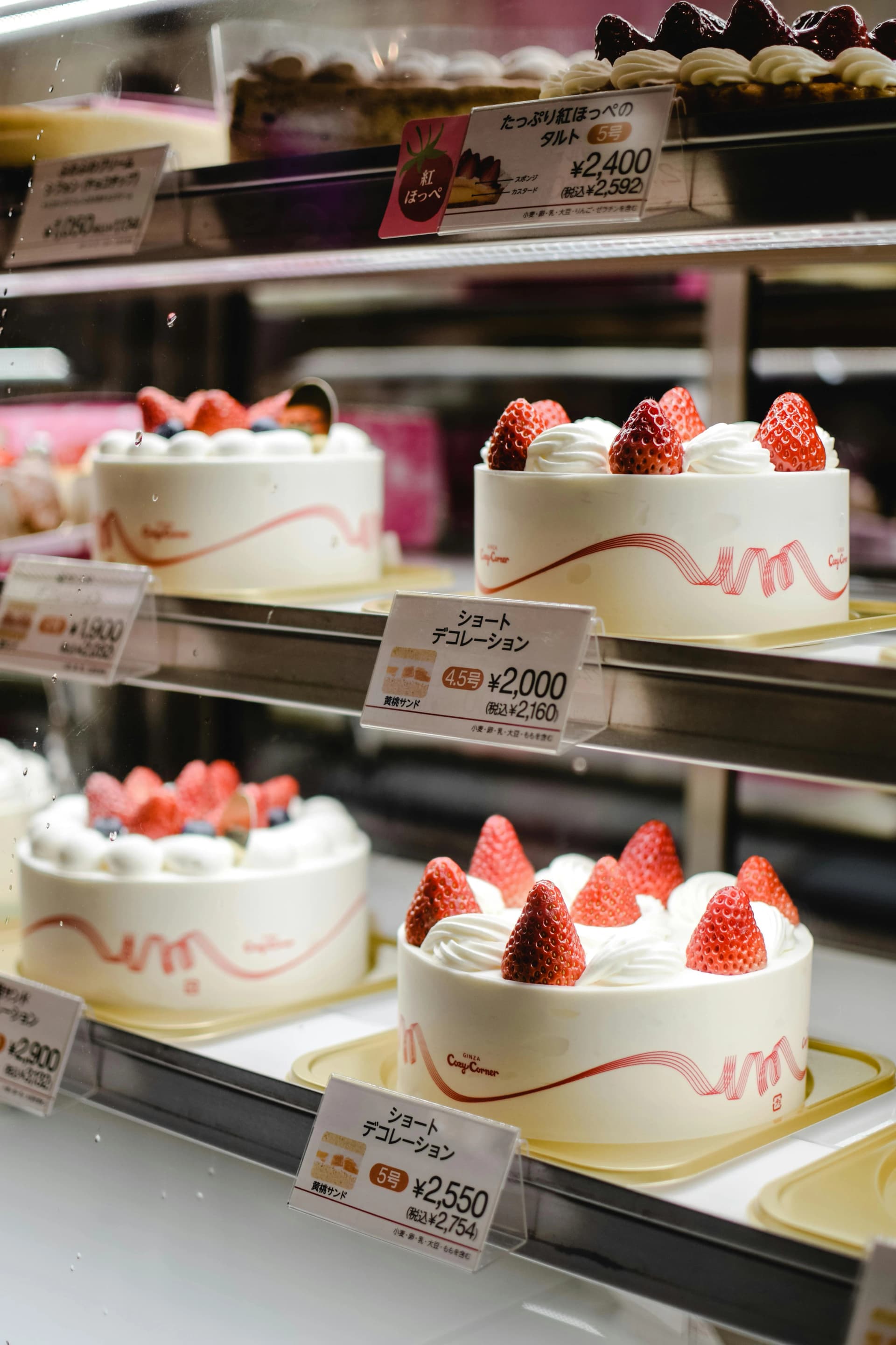 Depachika Tokyo: The Complete Guide
