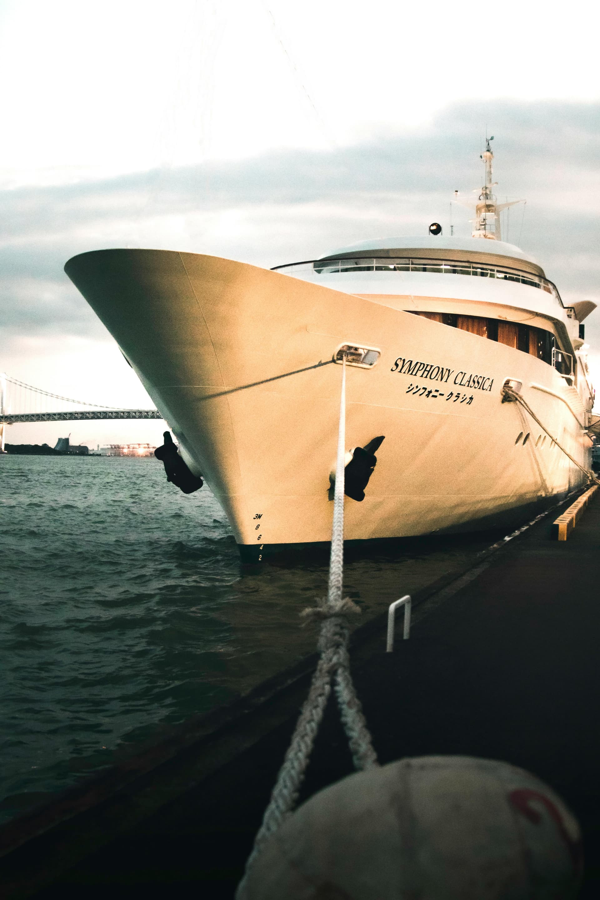 Tokyo Cruise Port Day Trip: Making the Most of Your Day in Port
