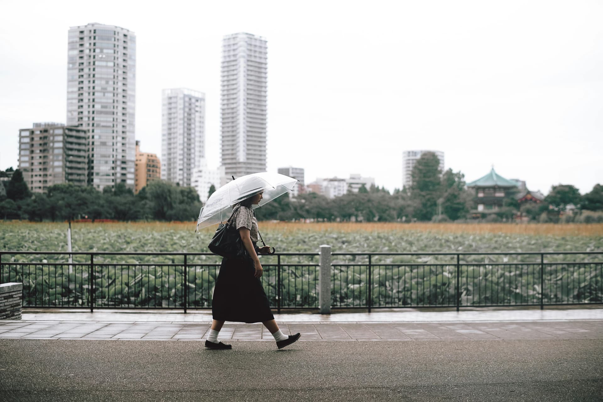 Is Tokyo Safe for Travelers? Practical Safety Insights
