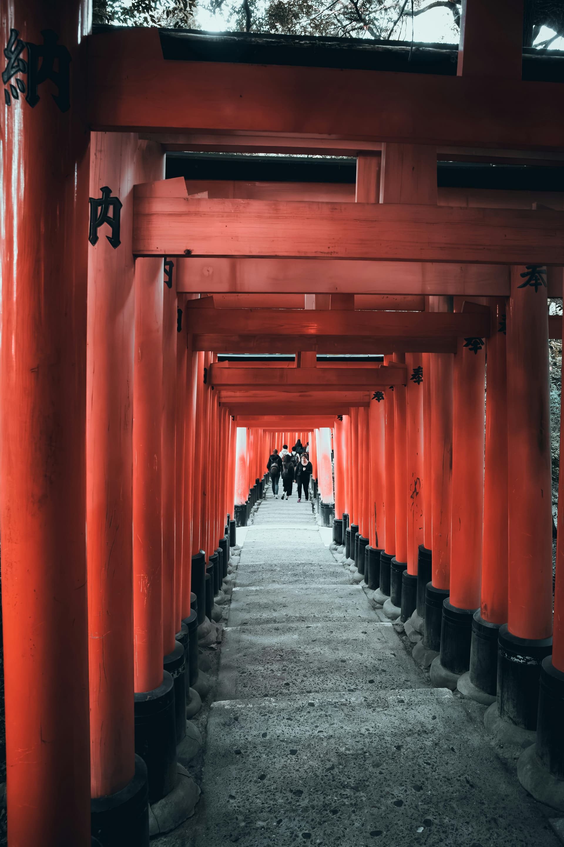 Tokyo Private Tour Pricing Guide: Comparing Quotes