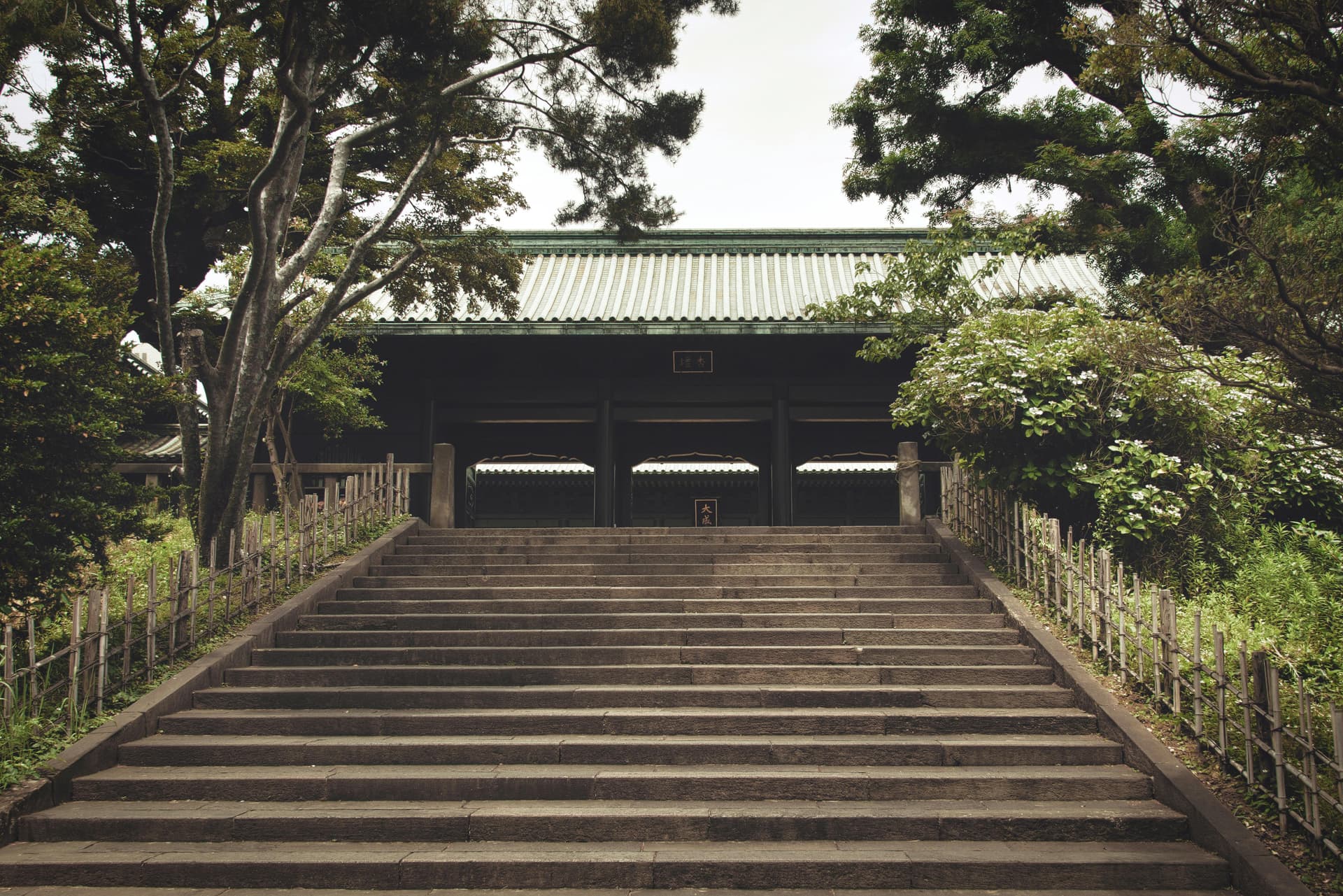 Which Tokyo Private Tour for Returning Visitors Goes Beyond the Highlights
