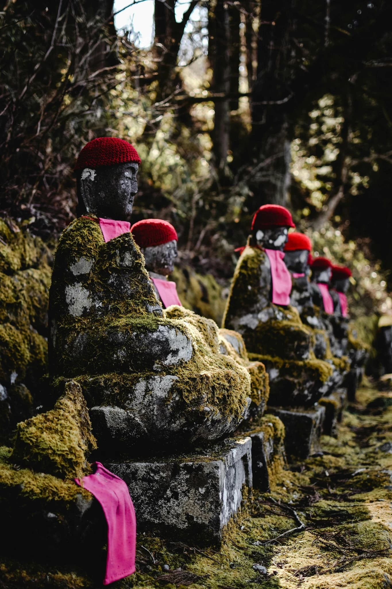 Nikko Day Trip: DIY or Private Tour?