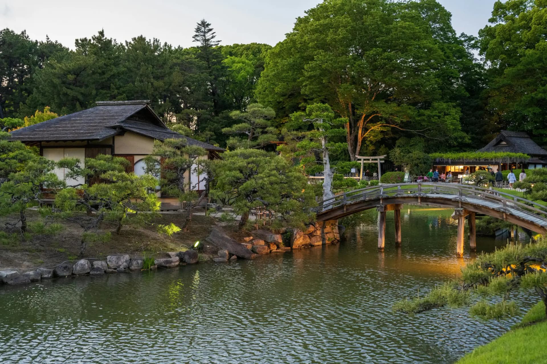 Koishikawa Korakuen: Tokyo's Oldest Surviving Garden