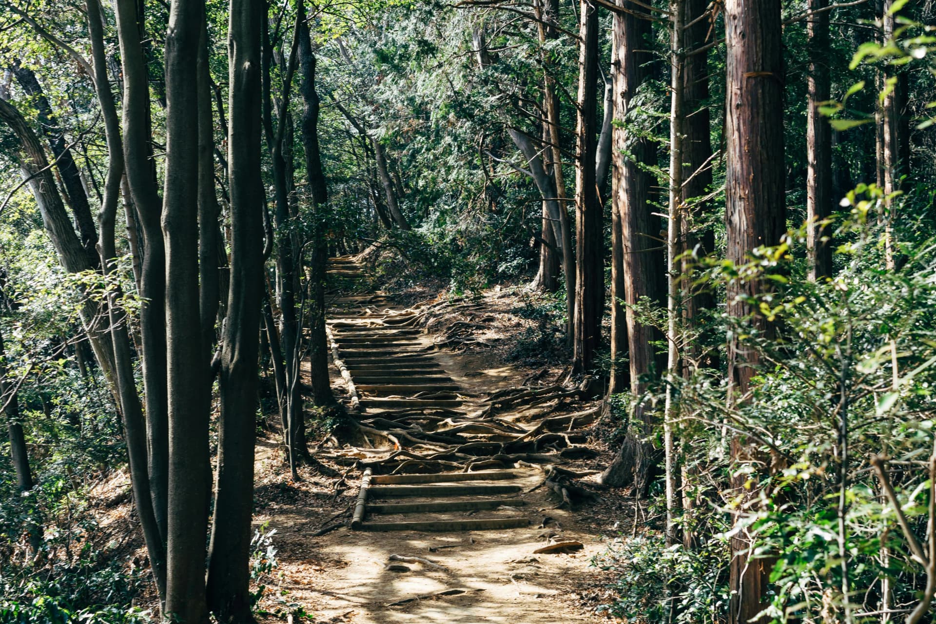 Mt Takao: Tokyo's Mountain