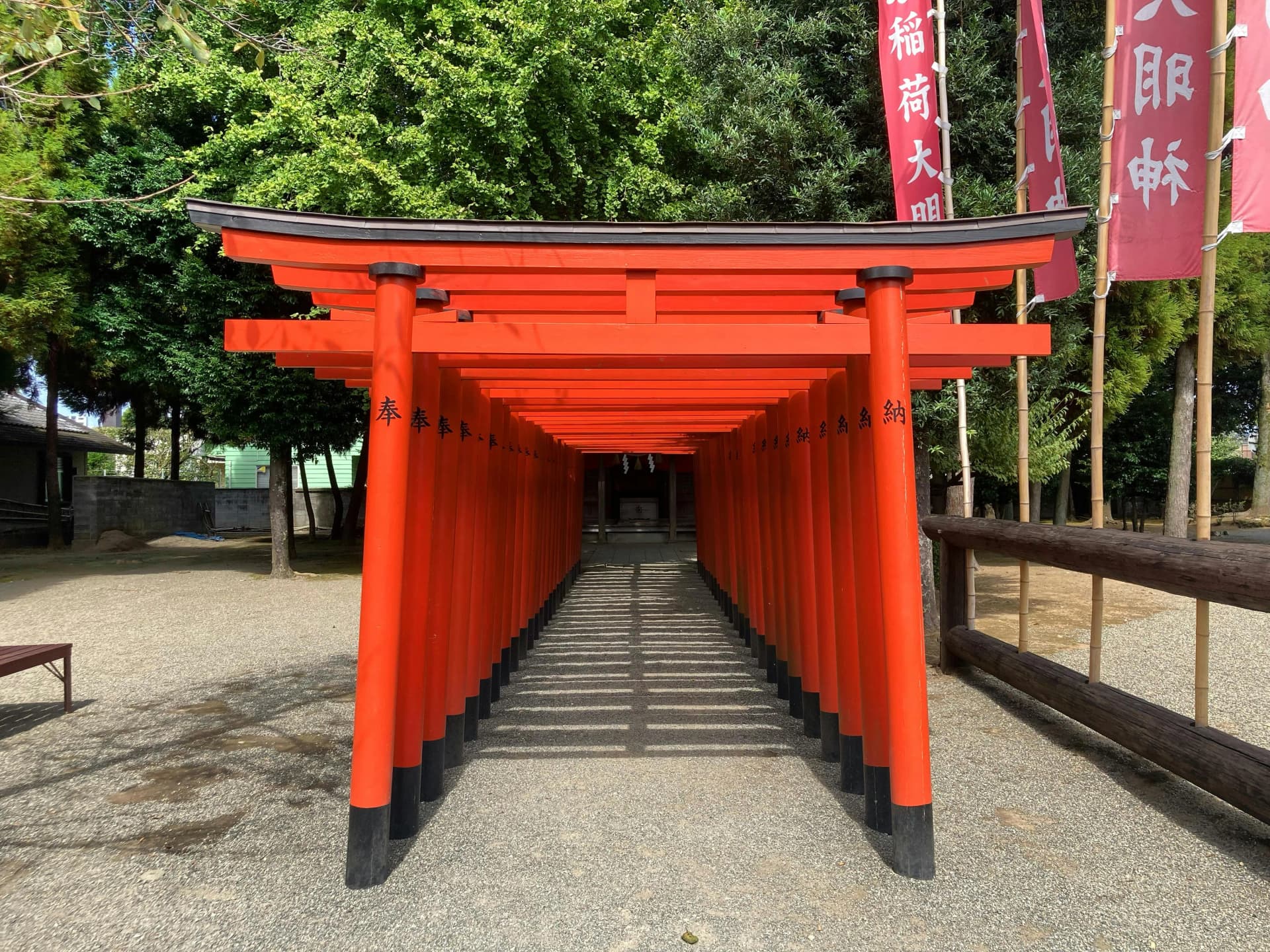 Nezu Shrine: Tokyo's Torii Tunnel