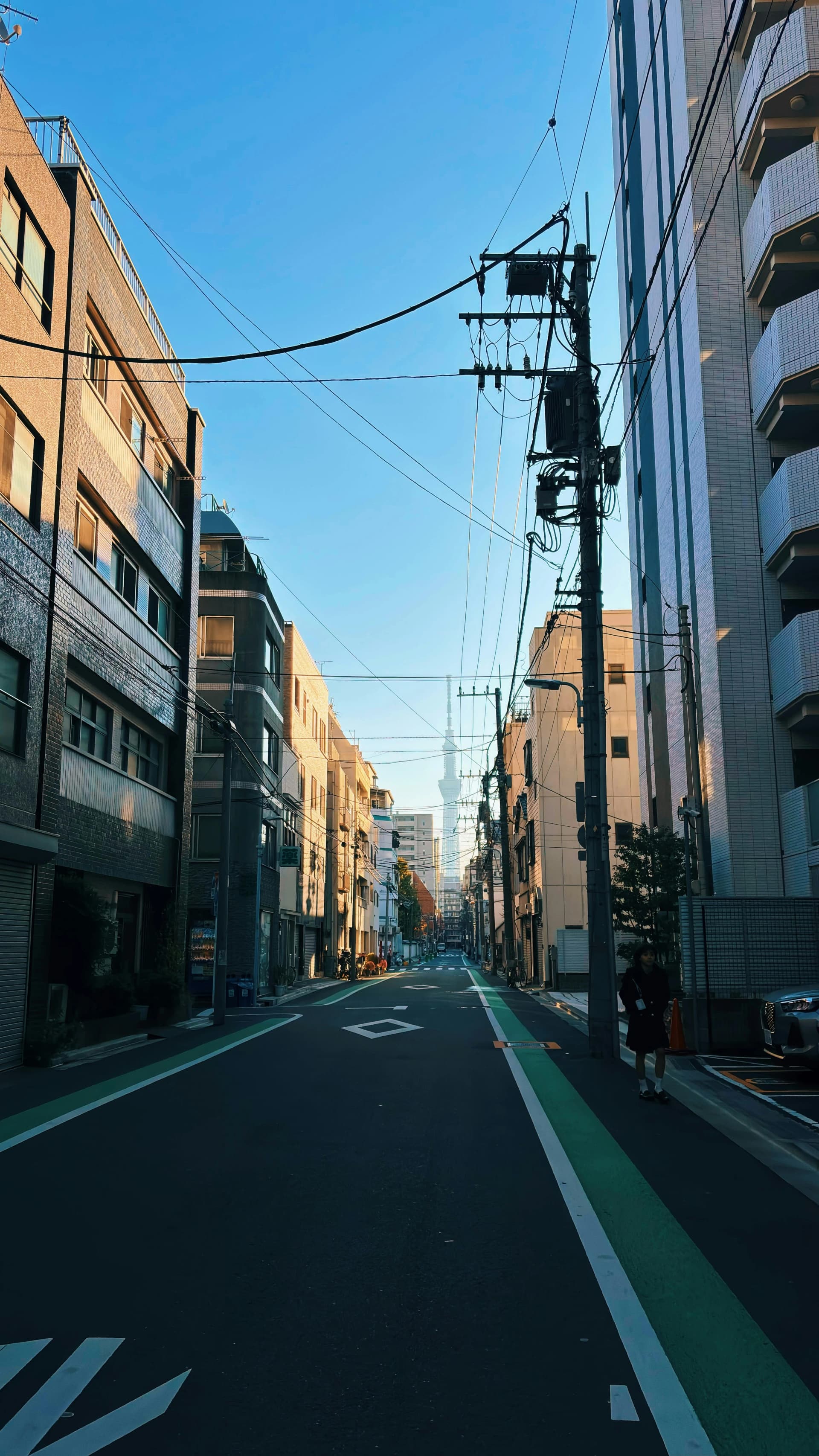 Ochanomizu: Tokyo's Original University Quarter, Still Working