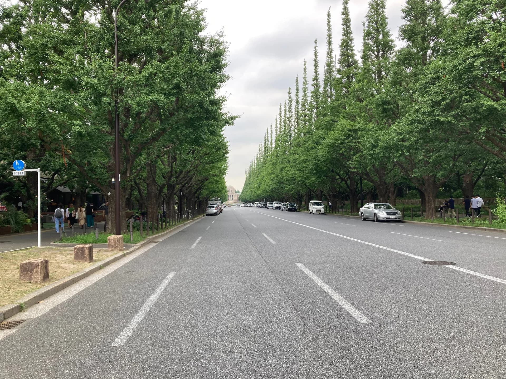 Omotesando: The Complete Guide