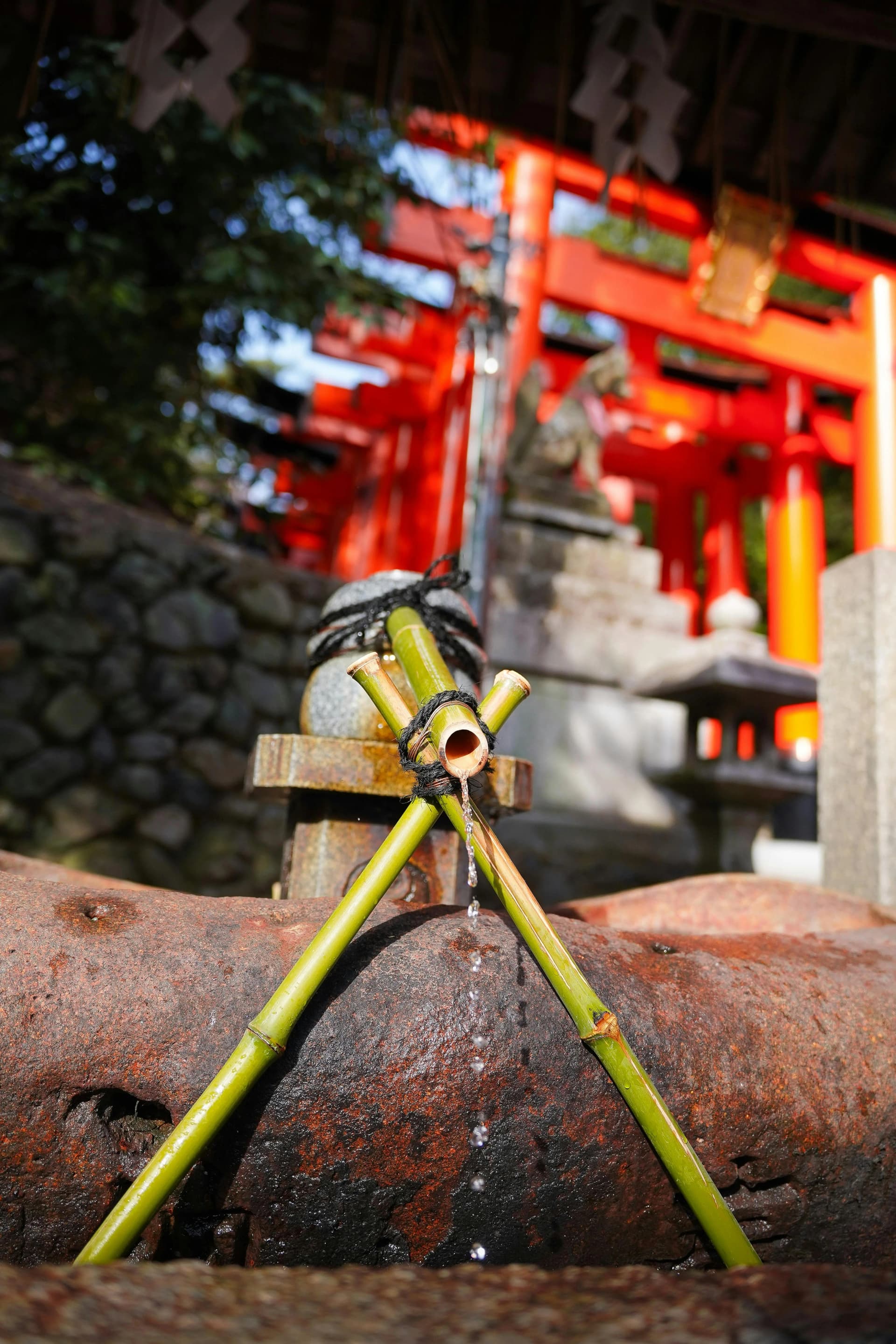 Shrine and Temple Etiquette in Tokyo: What You're Actually Supposed to Do
