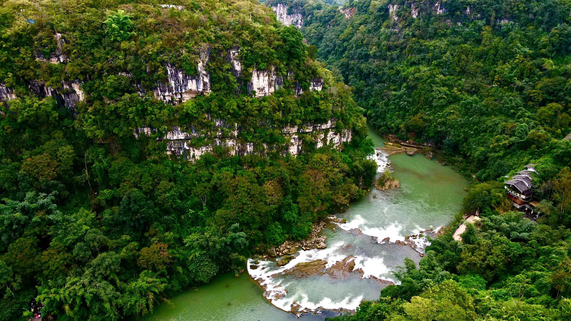 Todoroki Valley Tokyo: The Only Gorge in the City's 23 Wards
