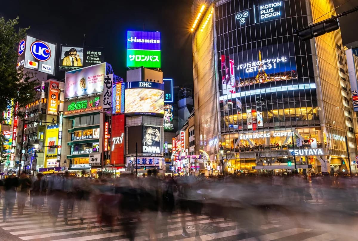 Tokyo at Night: What to Do After Dark (Beyond the Bars)