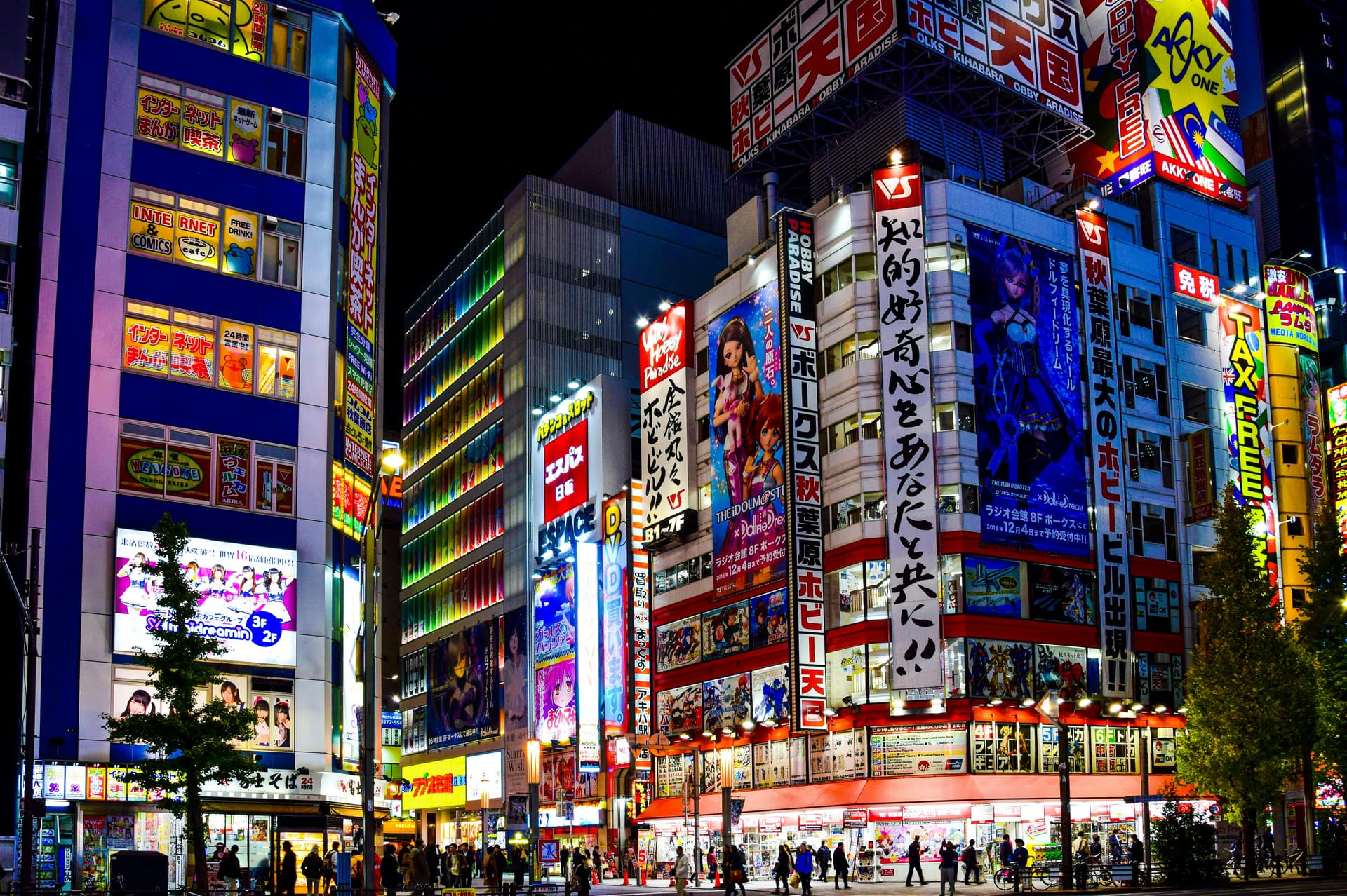 Akihabara Electric Town at night with neon signs advertising anime shops and arcades