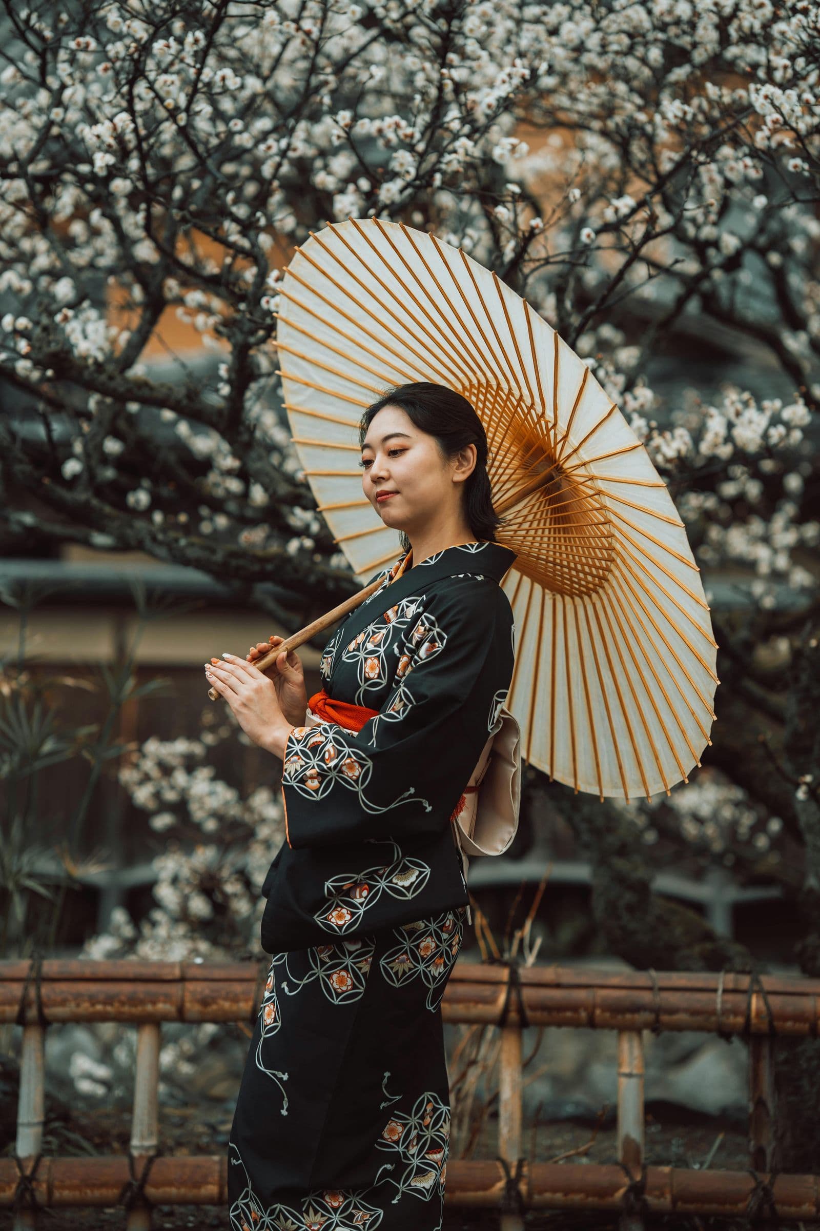 Woman in elegant kimono with parasol beneath plum blossoms — a curated birthday moment