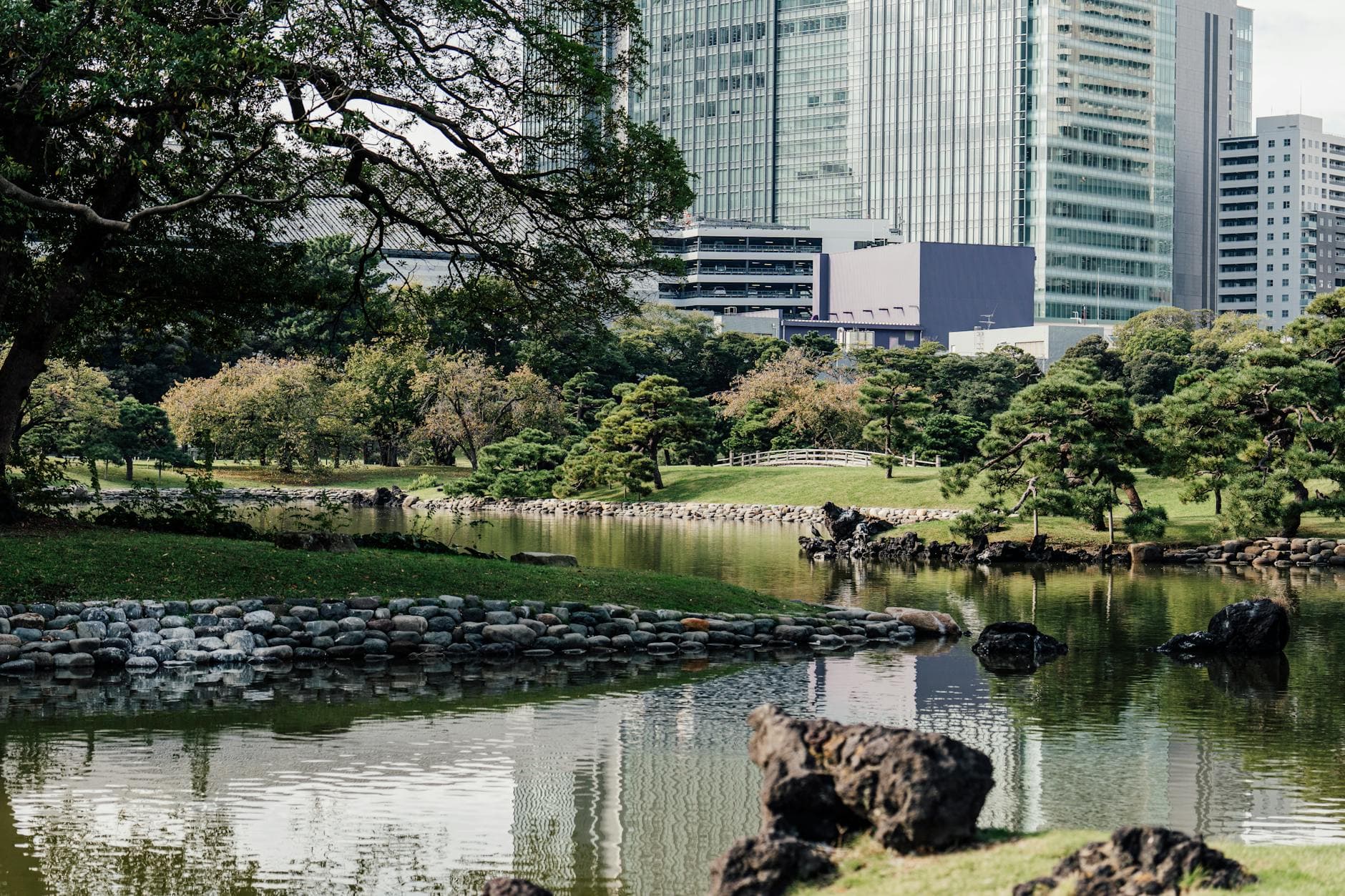 Serene Japanese garden with city skyscrapers visible beyond the treeline