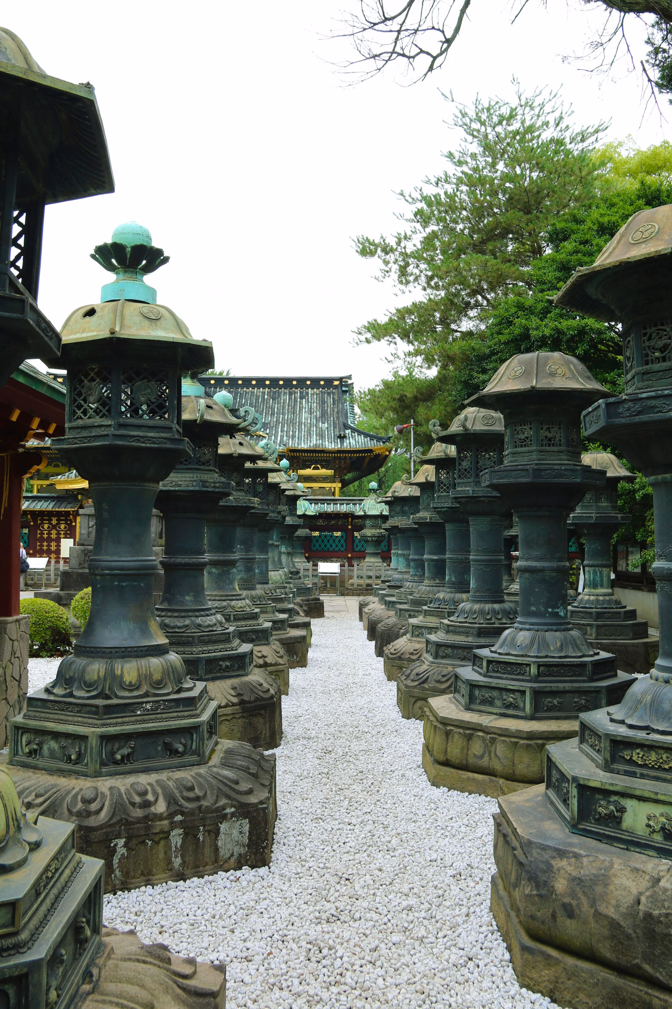 Tokyo Edo Castle Inspiring Infinite Tour Potential