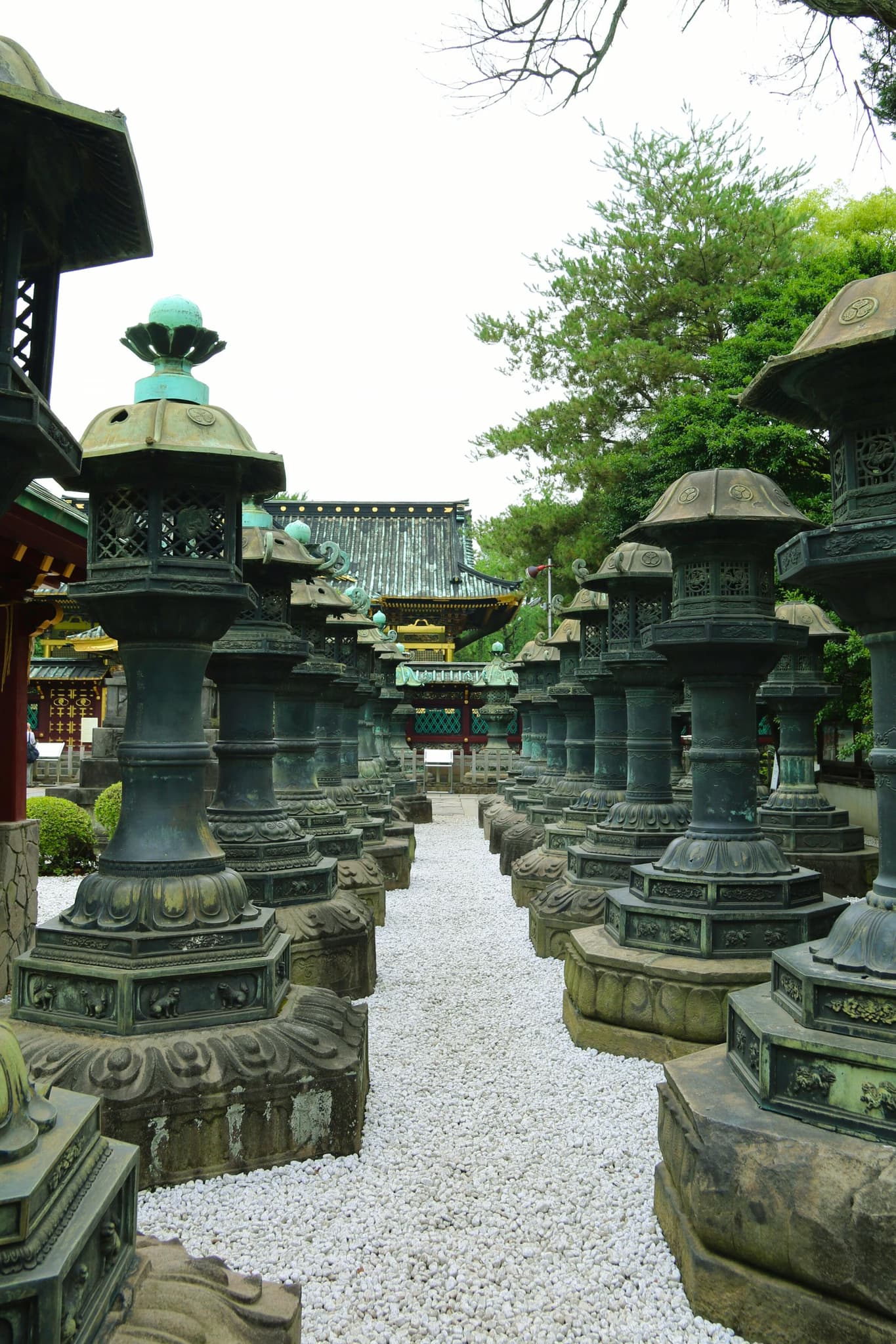 Tokyo Edo Castle Inspiring Infinite Tour Potential