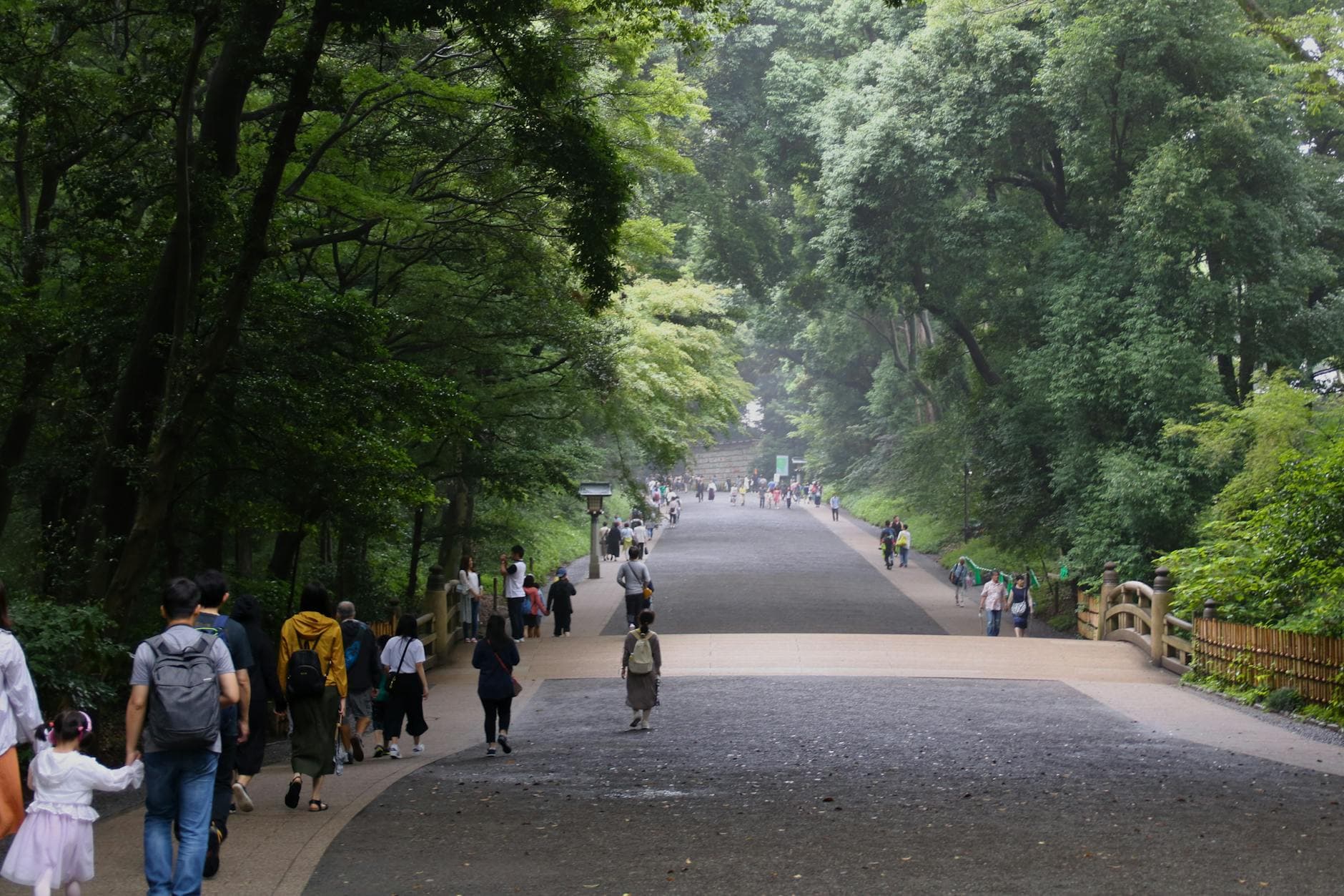 Tree-lined pathway leading through forest near Meiji Shrine in Tokyo