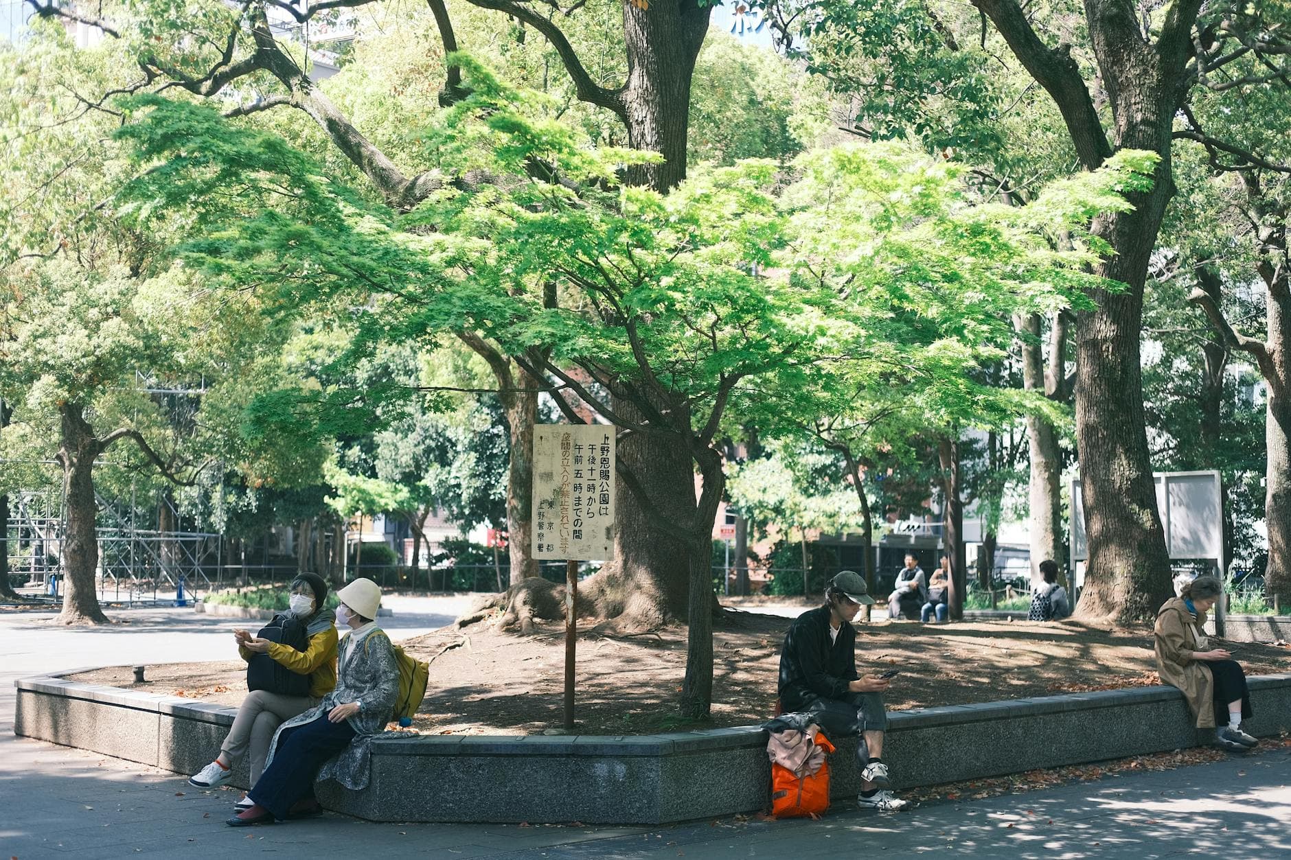 People relaxing under lush green trees in a peaceful Tokyo park on a sunny day