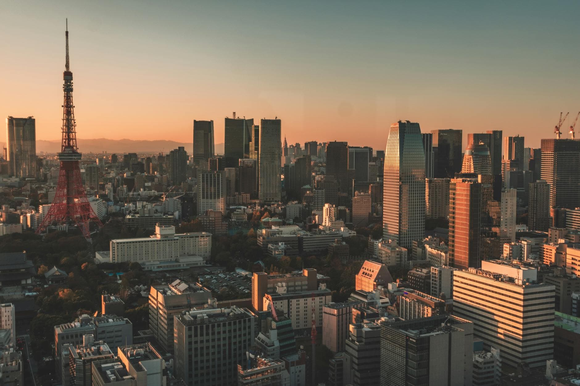 Tokyo Tower and city skyline bathed in golden sunset light