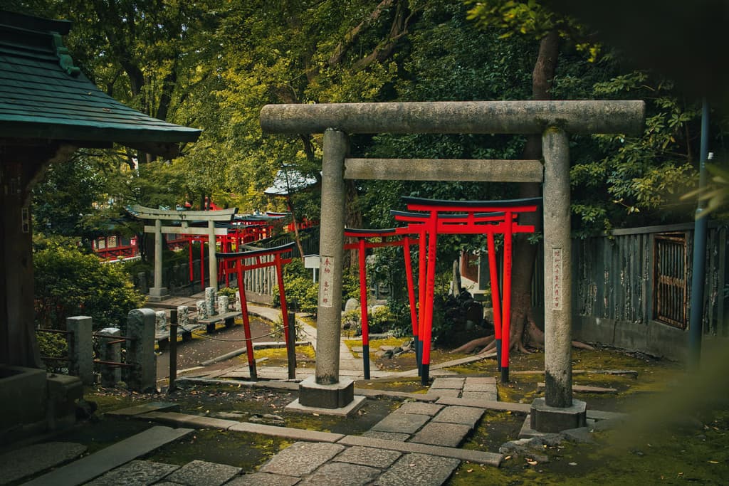 Moody Image of Edo Castle Walls Setting Backdrop for Timeless Tokyo Tour