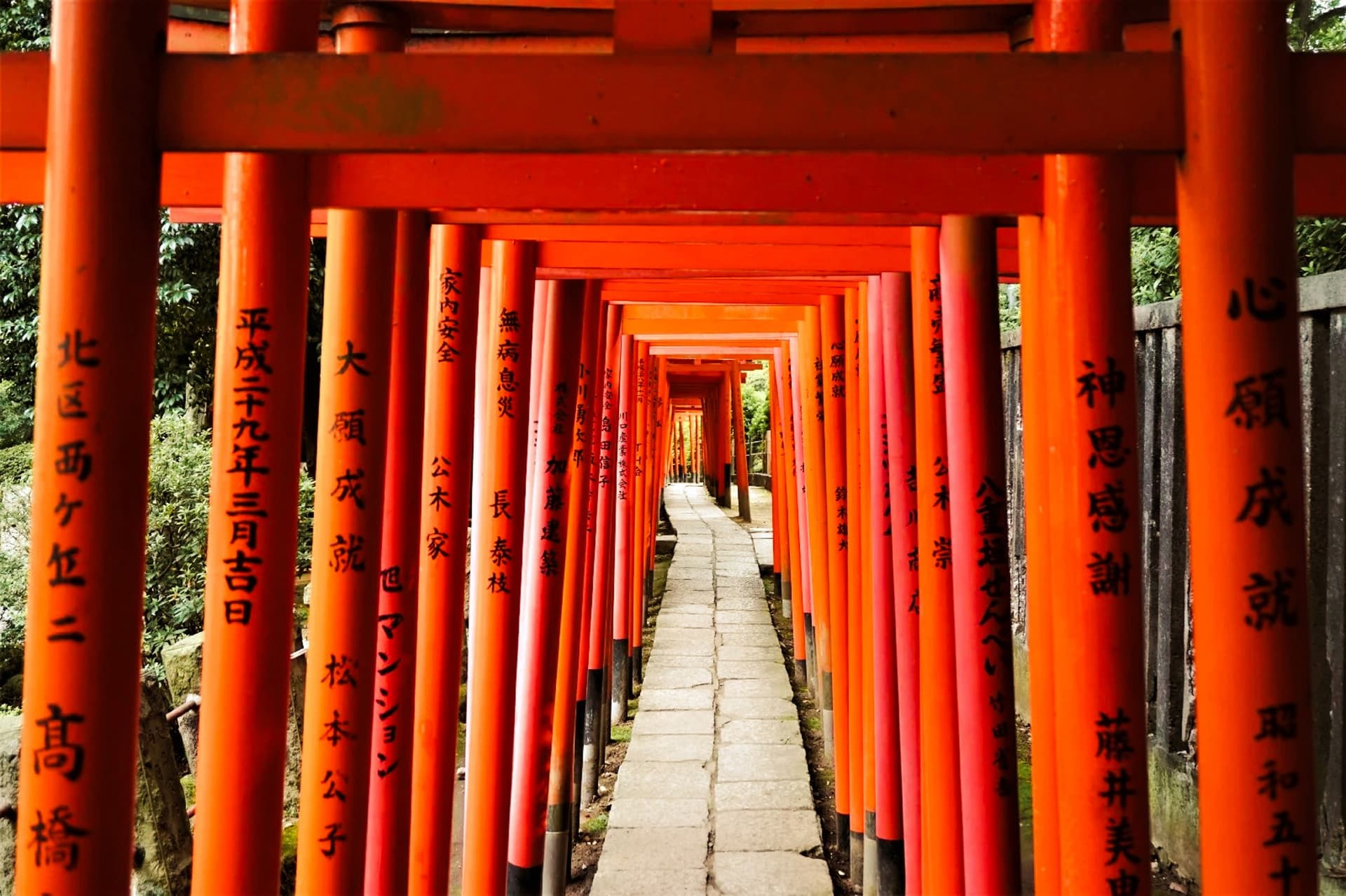 Red torii gates at Nezu Shrine