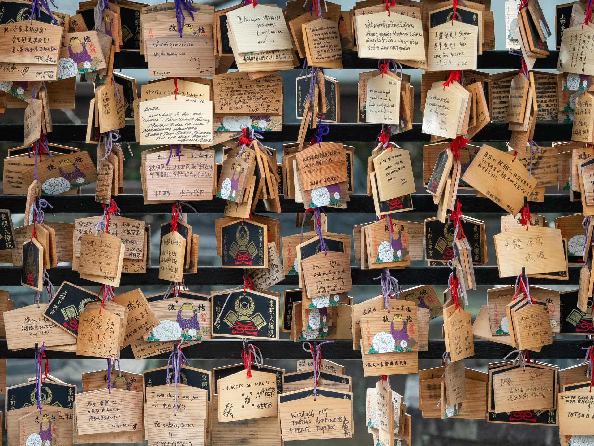 Dense wall of ema wooden wishing plaques at a shrine with multilingual inscriptions
