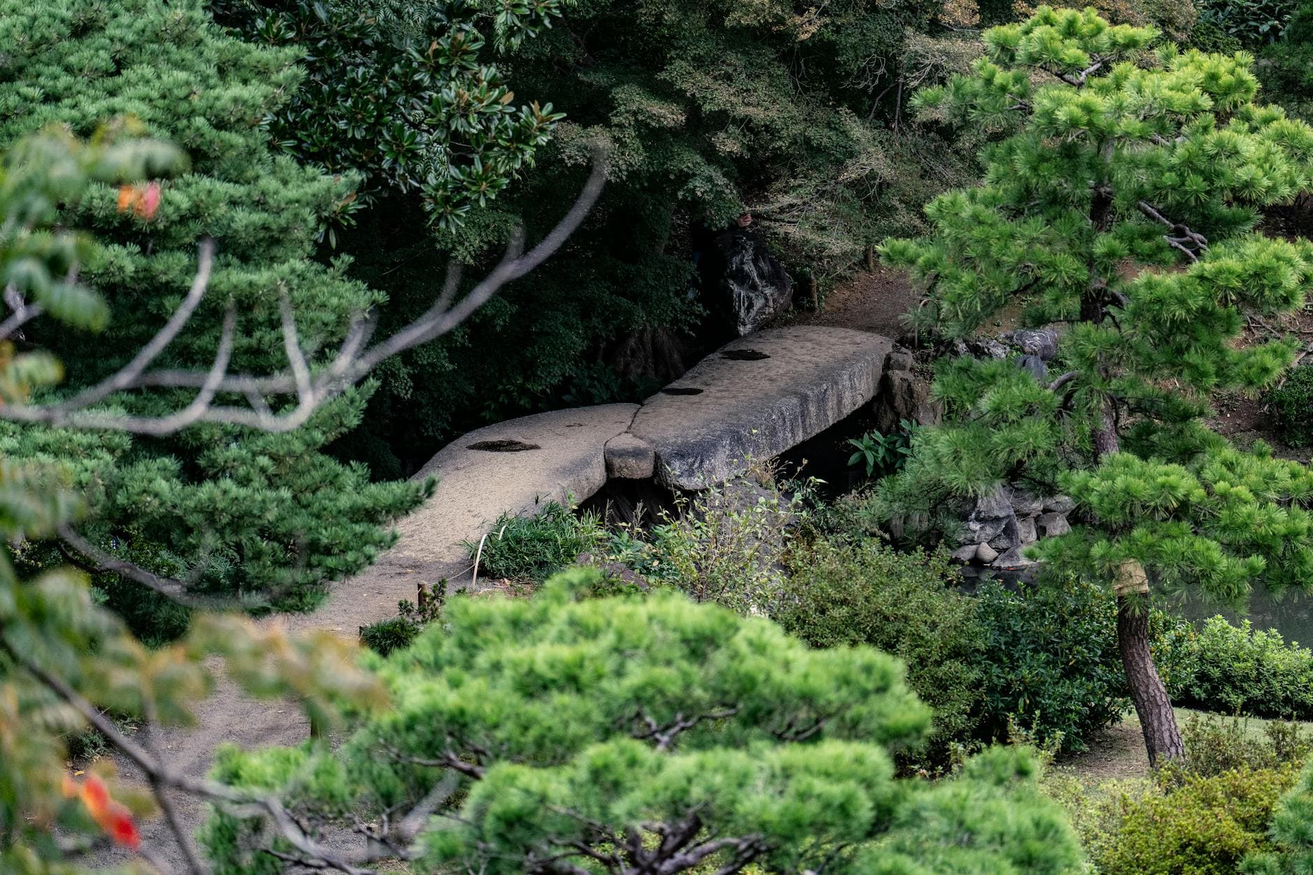Stone pathway winding through lush greenery in a tranquil Japanese garden