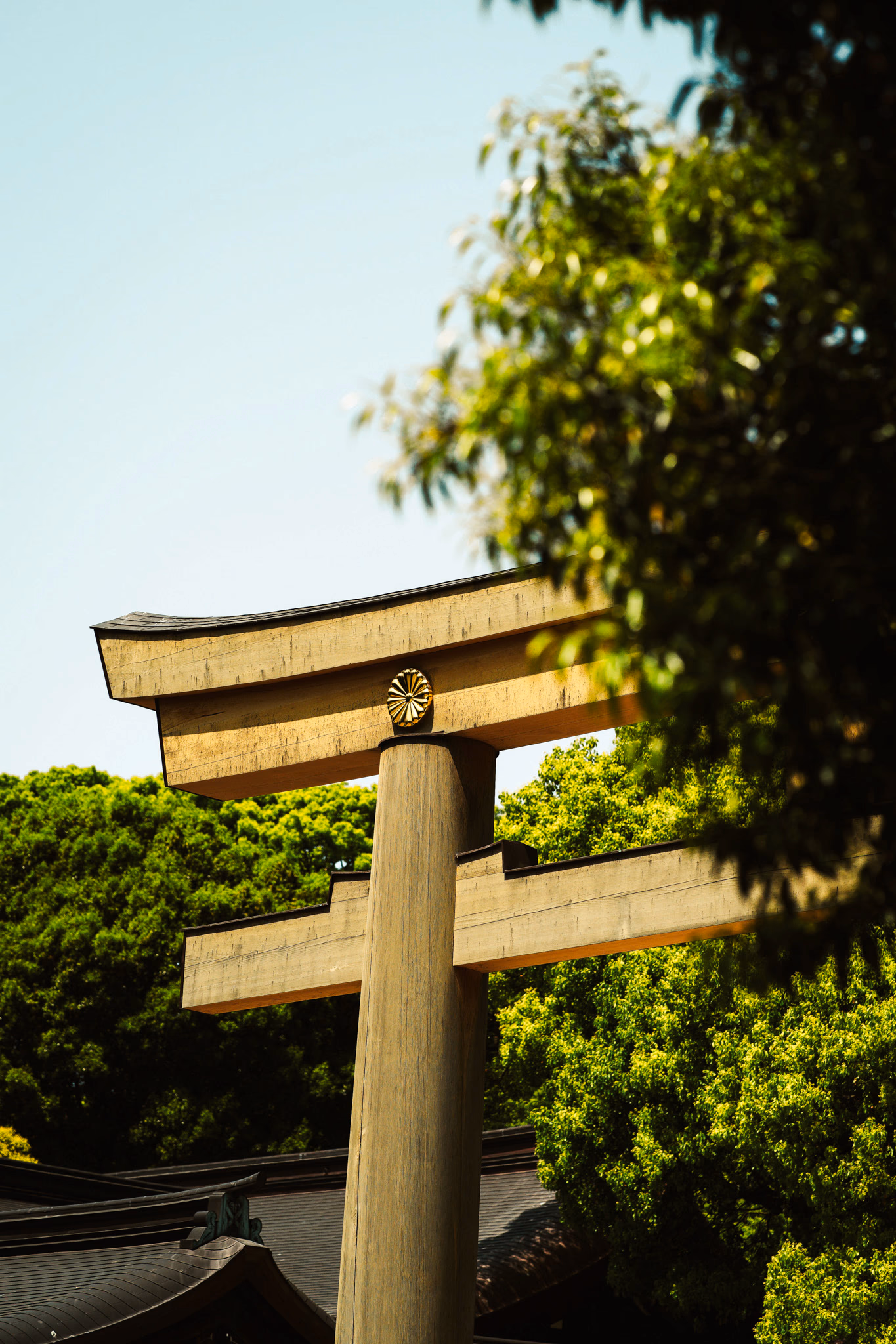 Moody Image of Meijin Jingu Torii Entrance Setting Tone for Tokyo Trifecta Tour