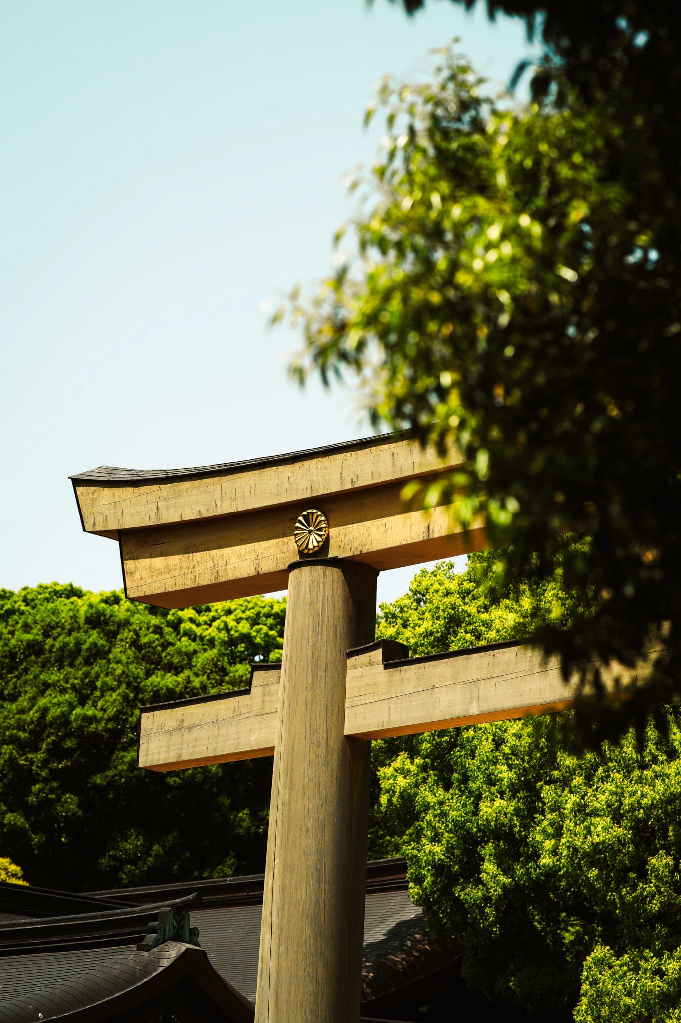 Moody Image of Meijin Jingu Torii Entrance Setting Tone for Tokyo Trifecta Tour