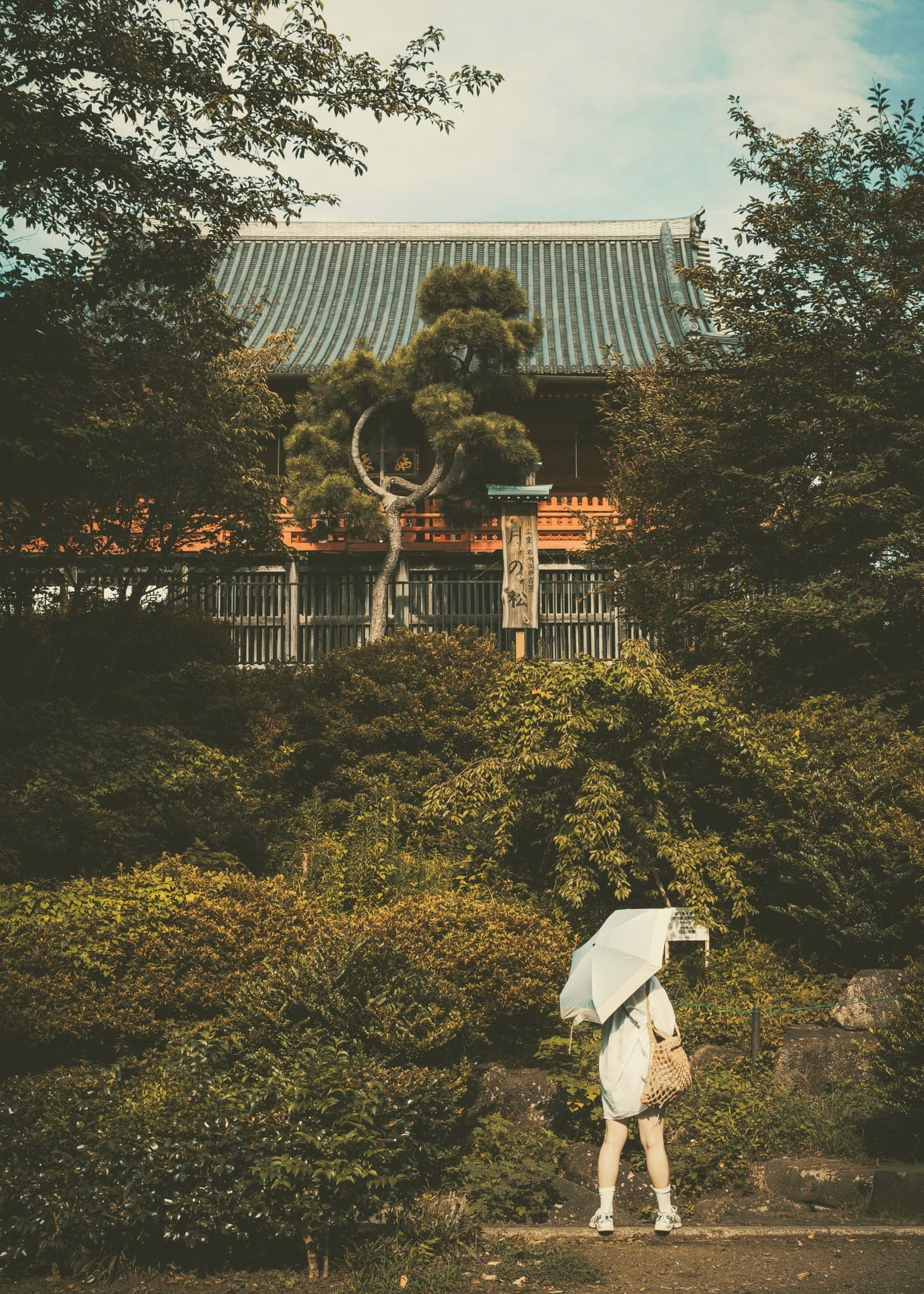 Quiet residential Yanaka street with potted plants and wooden architecture
