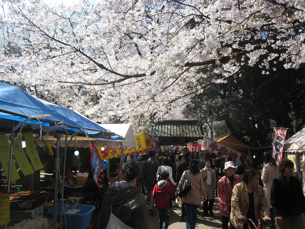 Crowds walking past food stalls under cherry blossoms in Ueno Park
