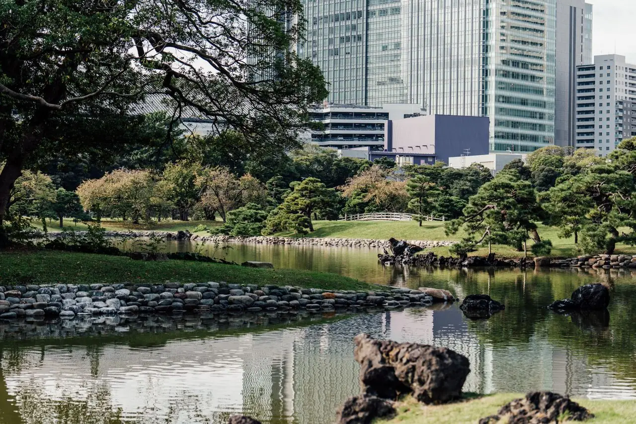 Pond and pine trees at Hama-rikyu Gardens with the Shiodome towers behind